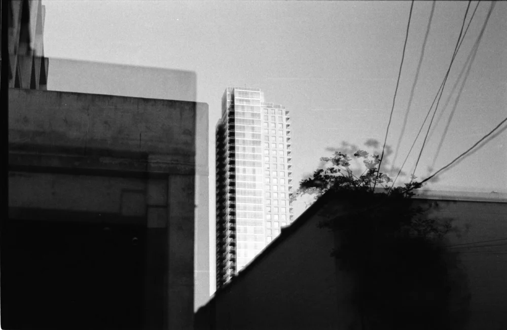 Developed Quarantine_Infelise-16.jpg