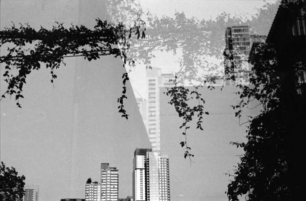 Developed Quarantine_Infelise-17.jpg