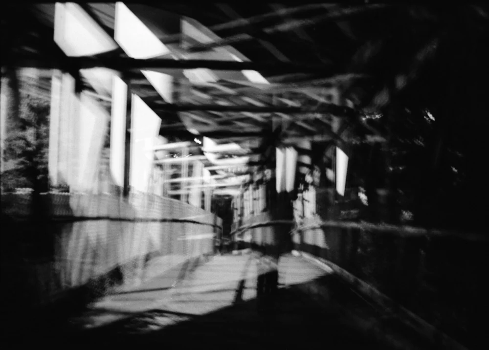 Developed Quarantine_Infelise-20.jpg