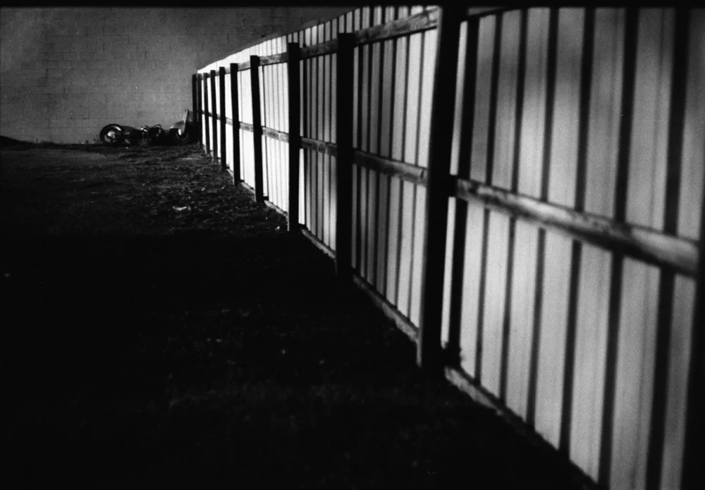 Developed Quarantine_Infelise-26.jpg