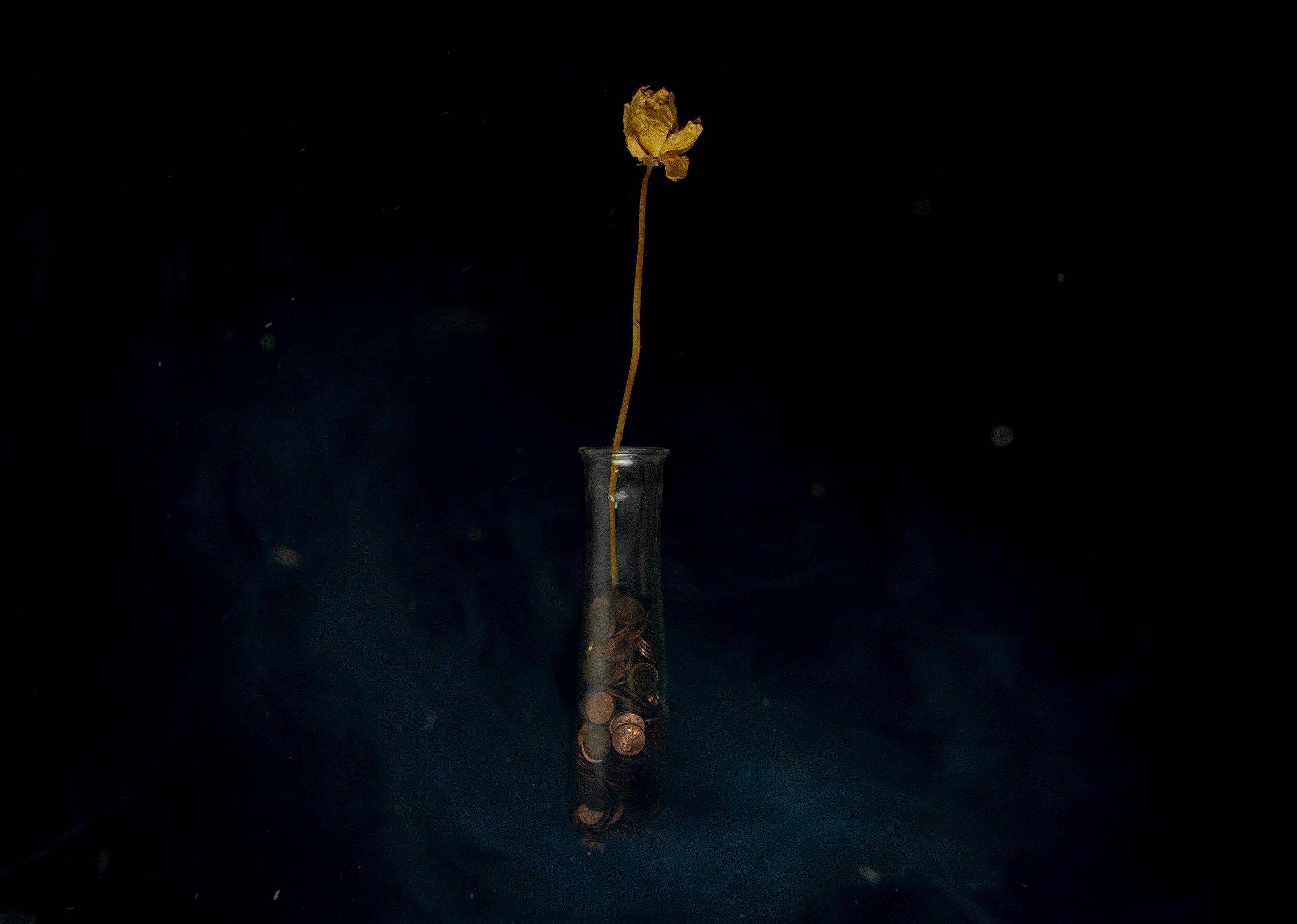 ininstant vase atmo 2-1.jpg