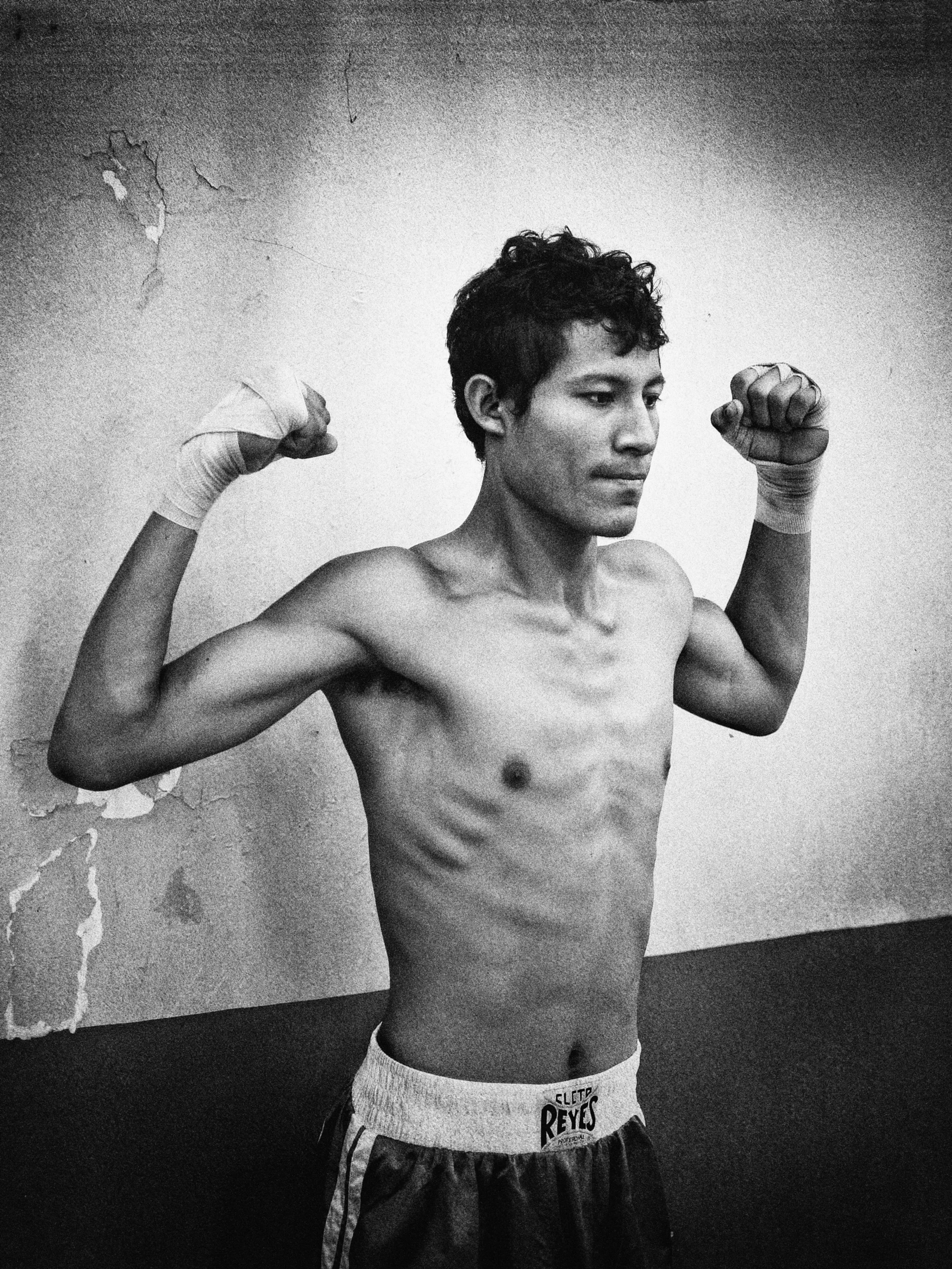 2017_Boxer_MusclePose.jpg