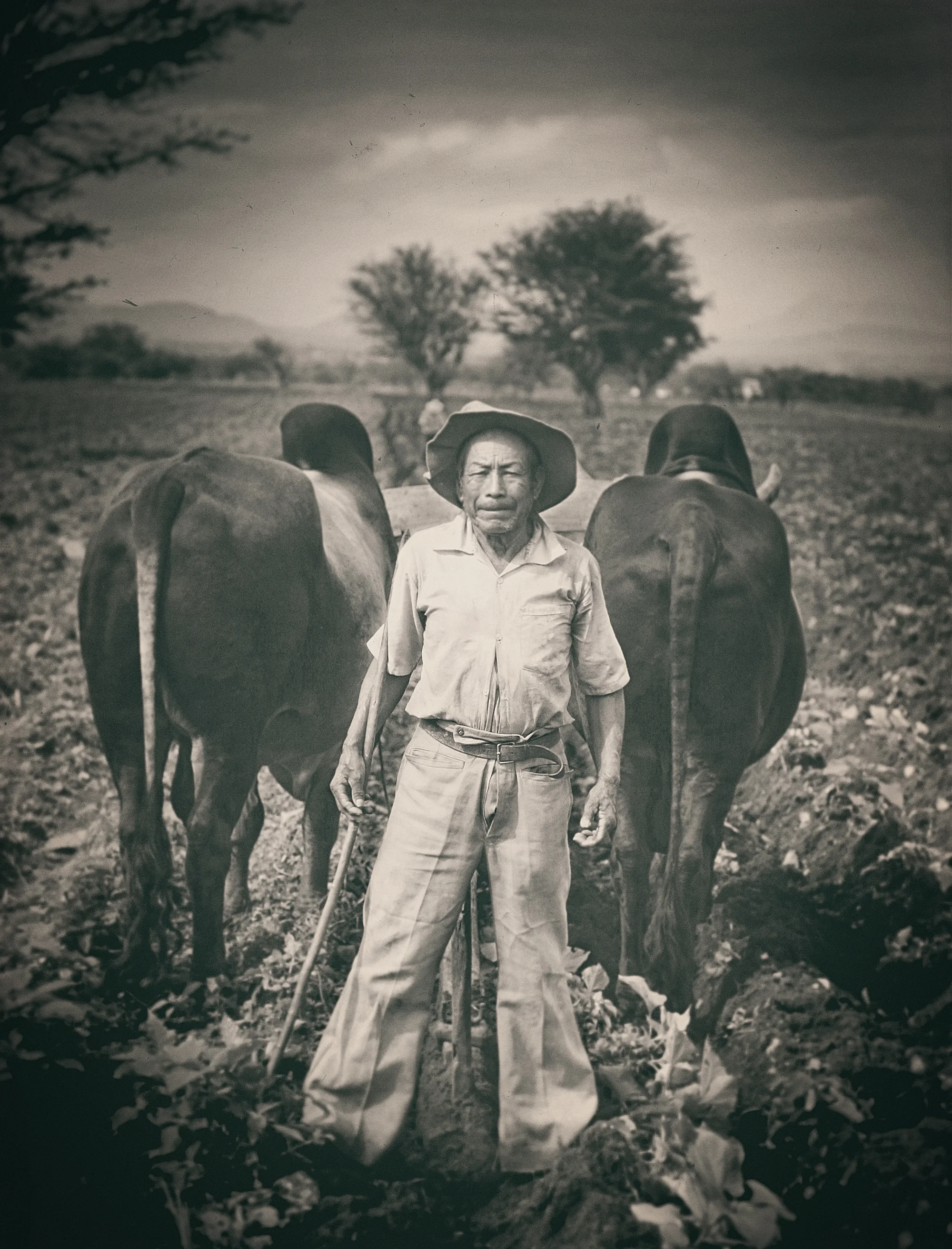 2017_Man_Ox_Portrait_BW.jpg