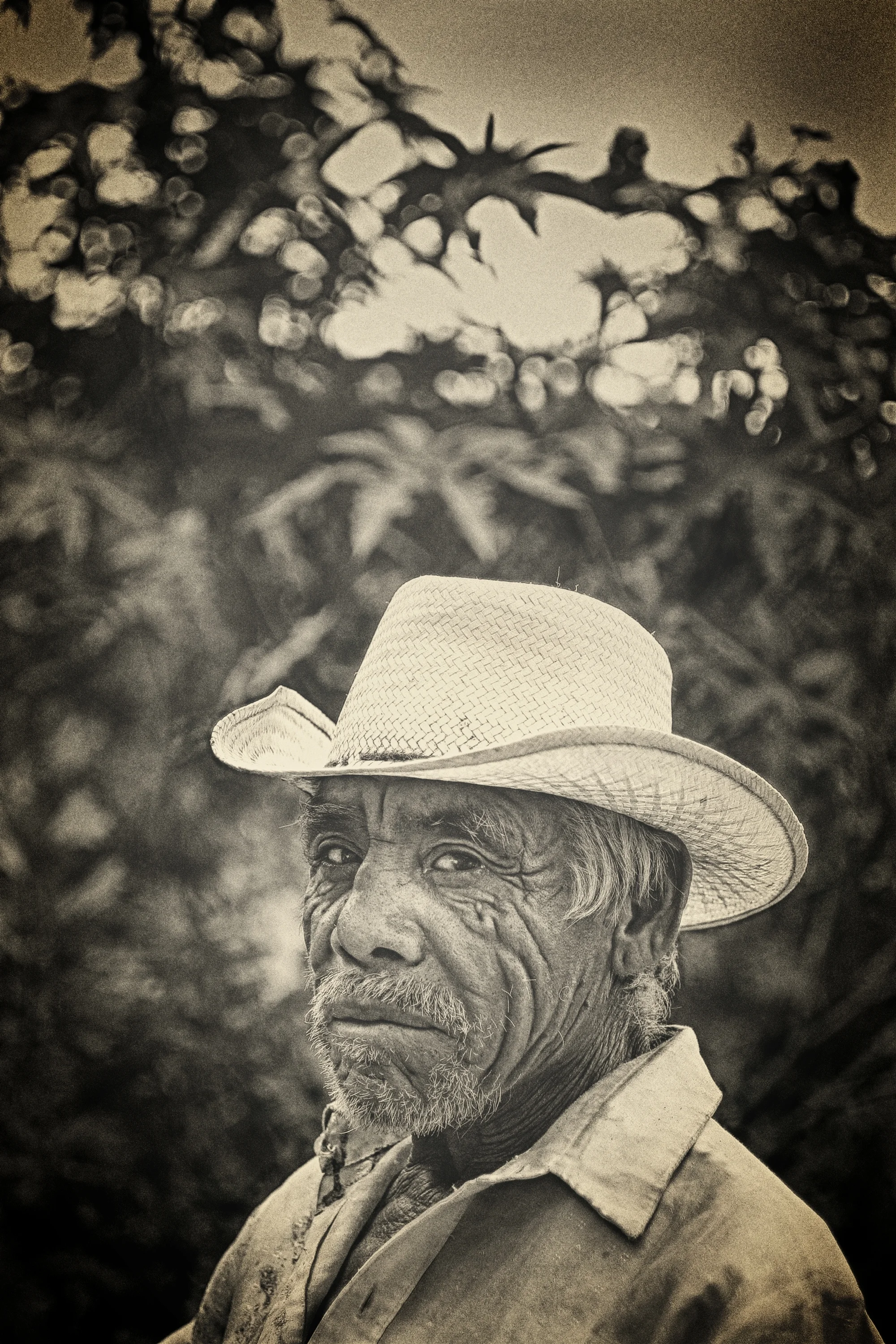 2017_OldMan_Outside_Portrait.jpg