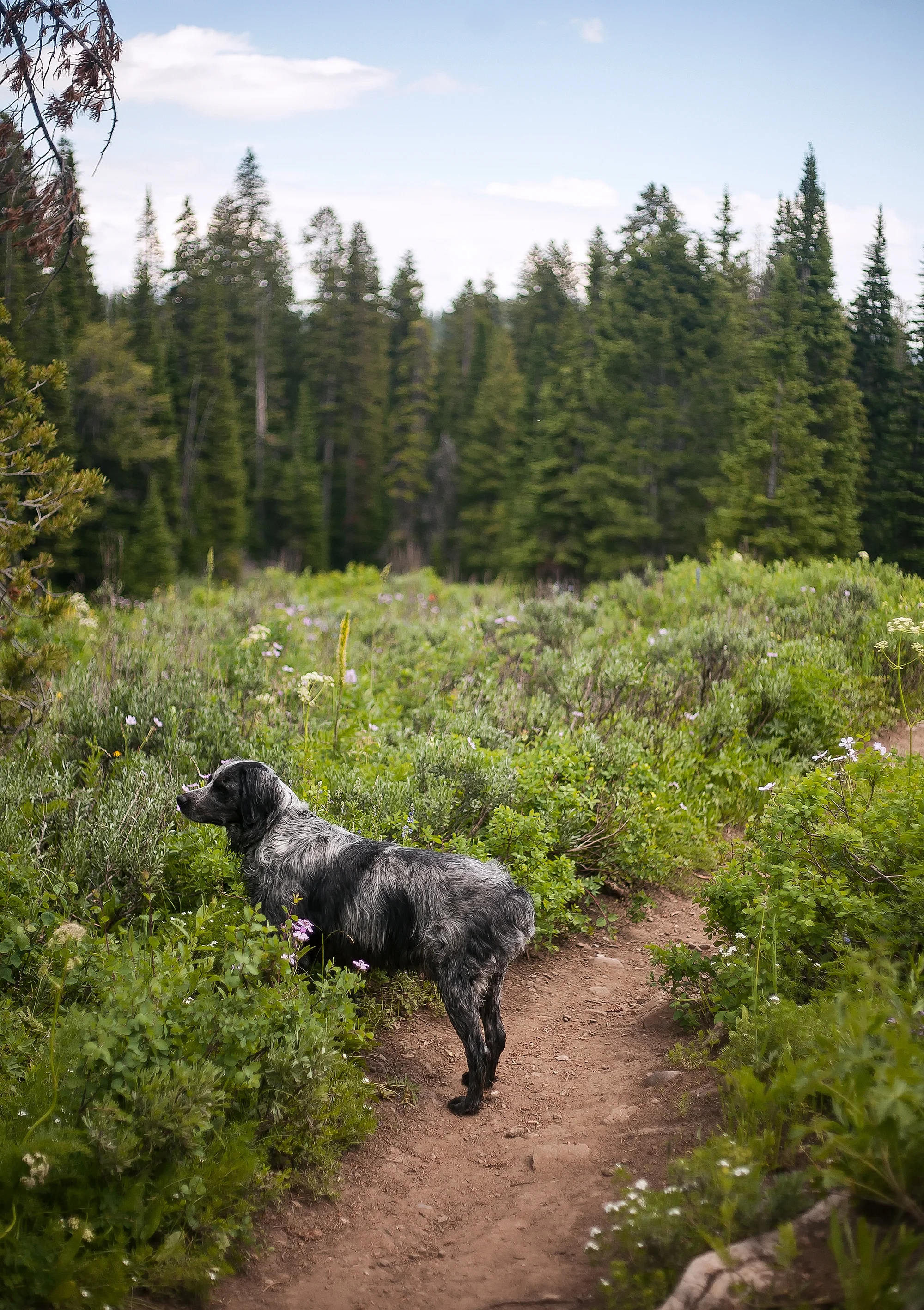 WYDAHO_Burt_Burt_Portrait_7350_FINAL.jpg