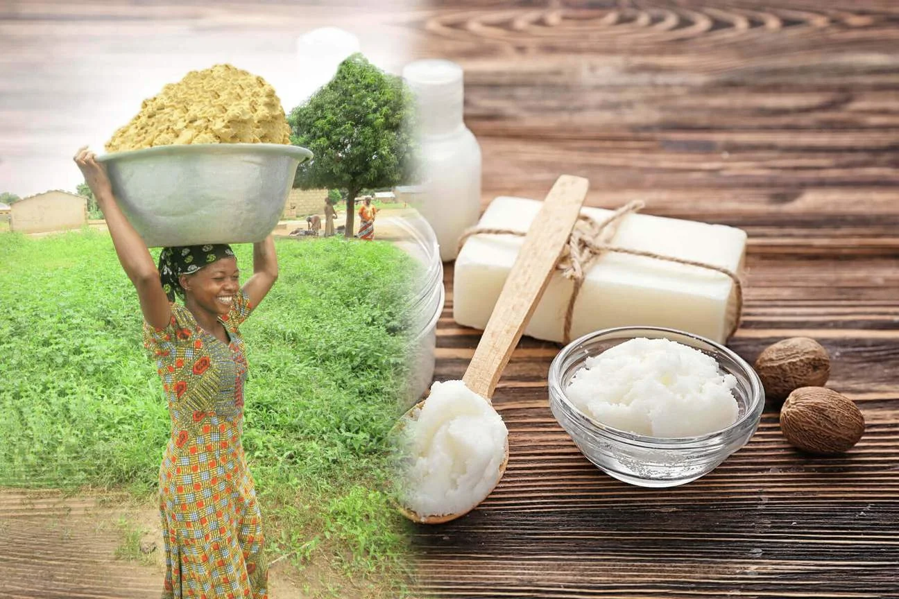 Certified Organic Fair Trade Baraka Shea Butter is produced by women & families in Ghana. Photo courtesy of Baraka Shea Butter .