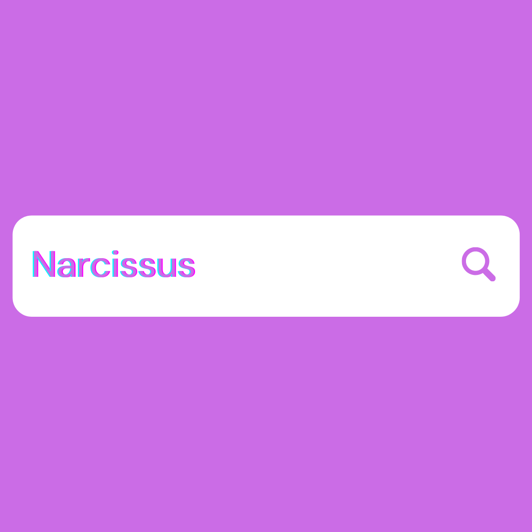 Narcissus.png