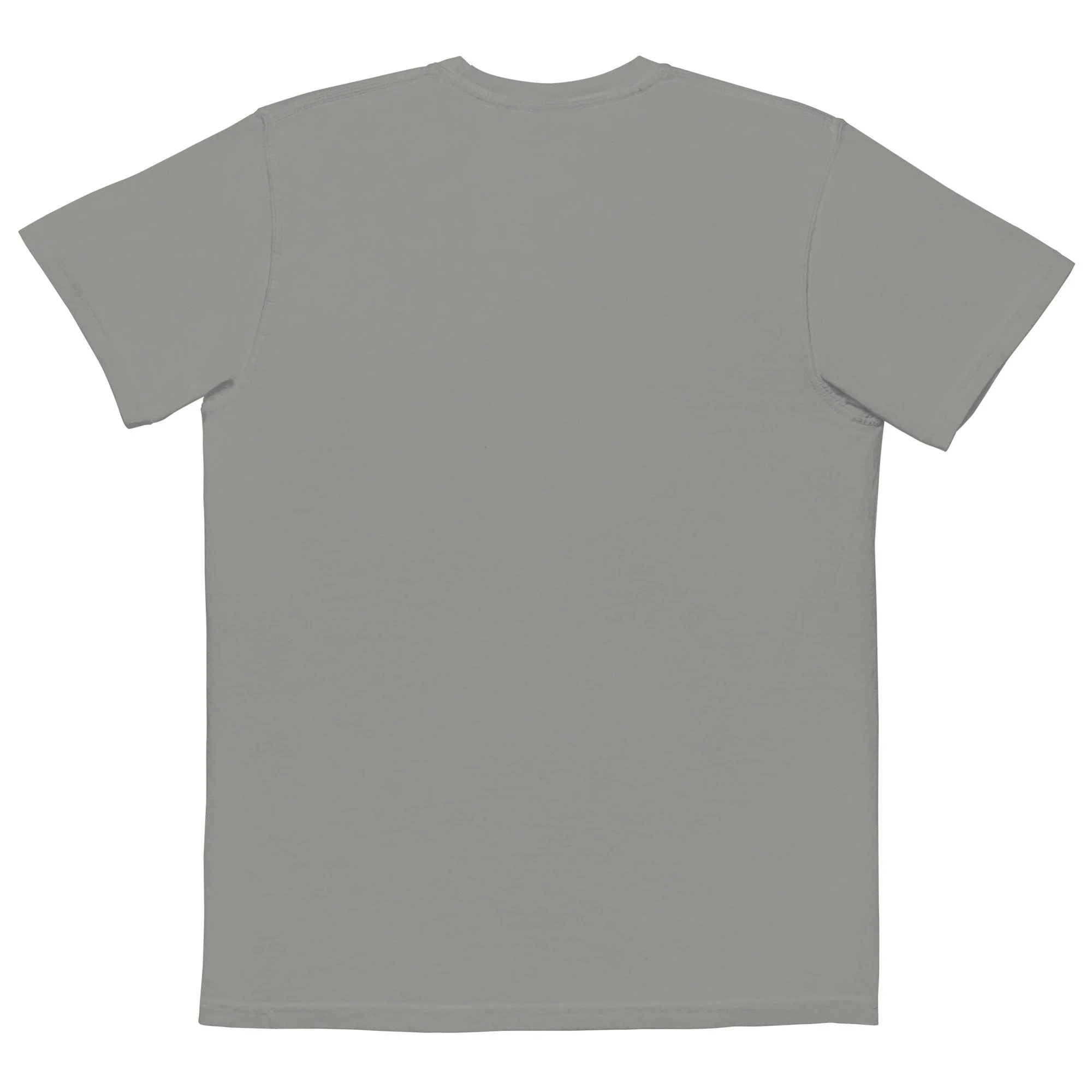 unisex-garment-dyed-pocket-t-shirt-grey-back-681a5b6db3d6f.jpg