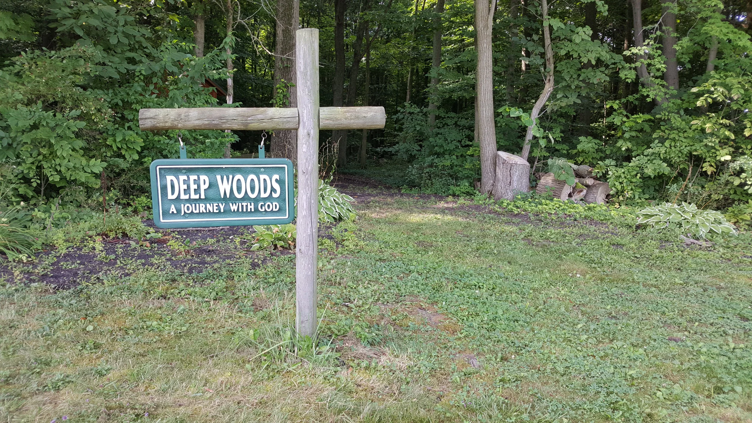 Entrance to the DEEP WOODS