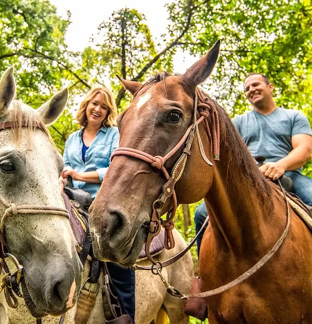 horseback-rides-with-thouvenel-stabl-at-margaritaville-lake-resort.webp