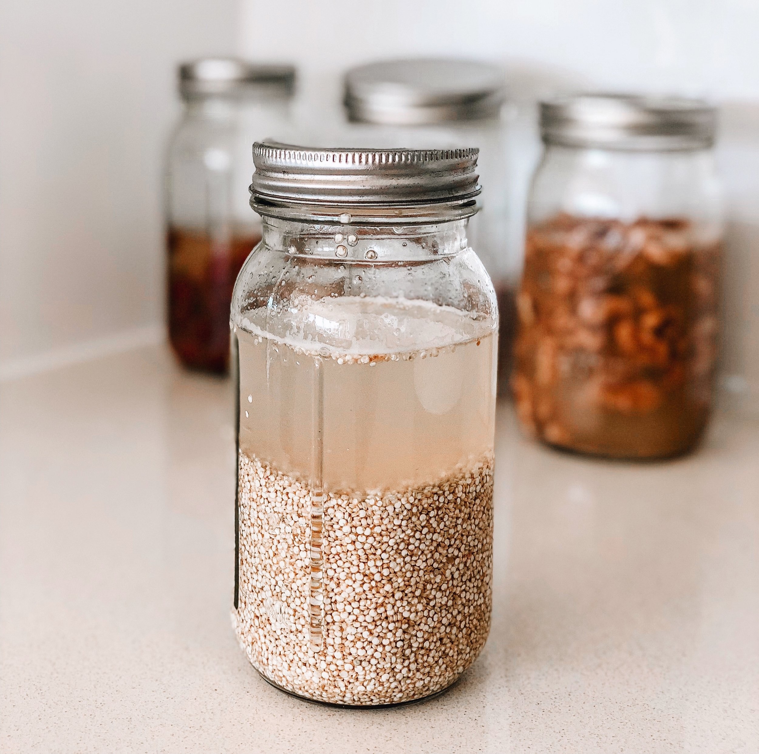 SOAK+NUTS+1.jpg
