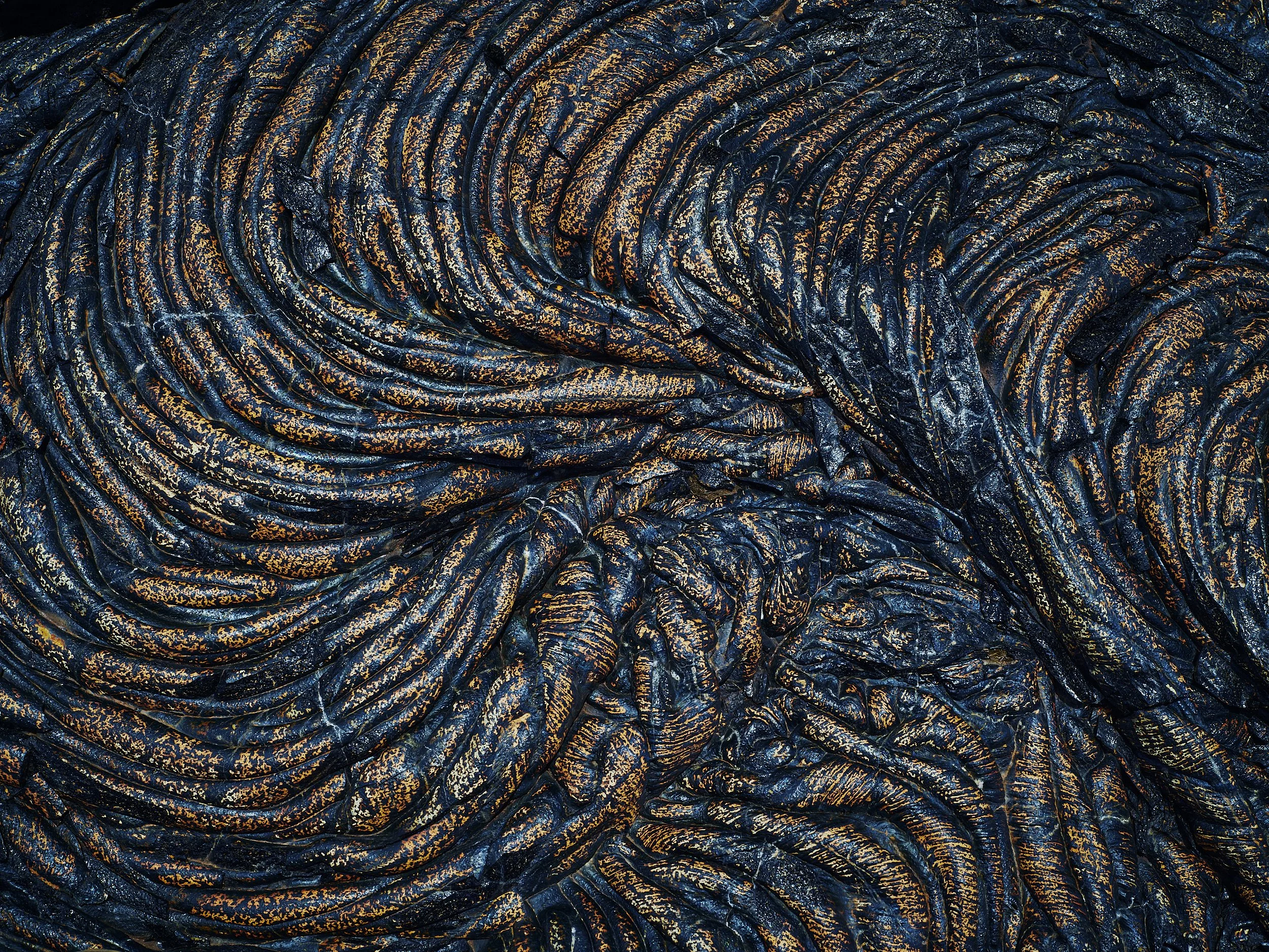 Close-up of a dark, textured, and patterned fabric with gold accents and wavy folds.