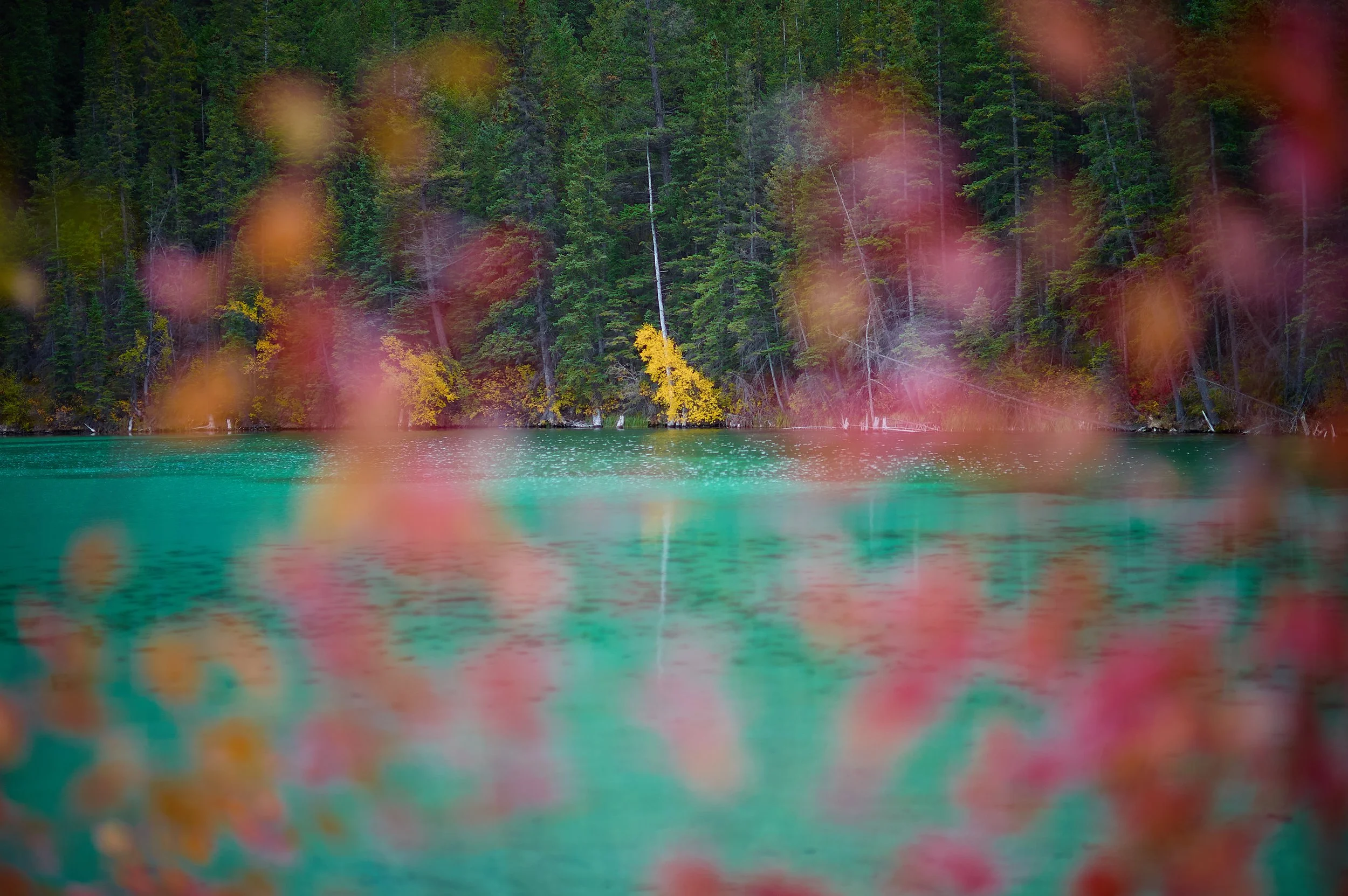 Glacier_.jpg