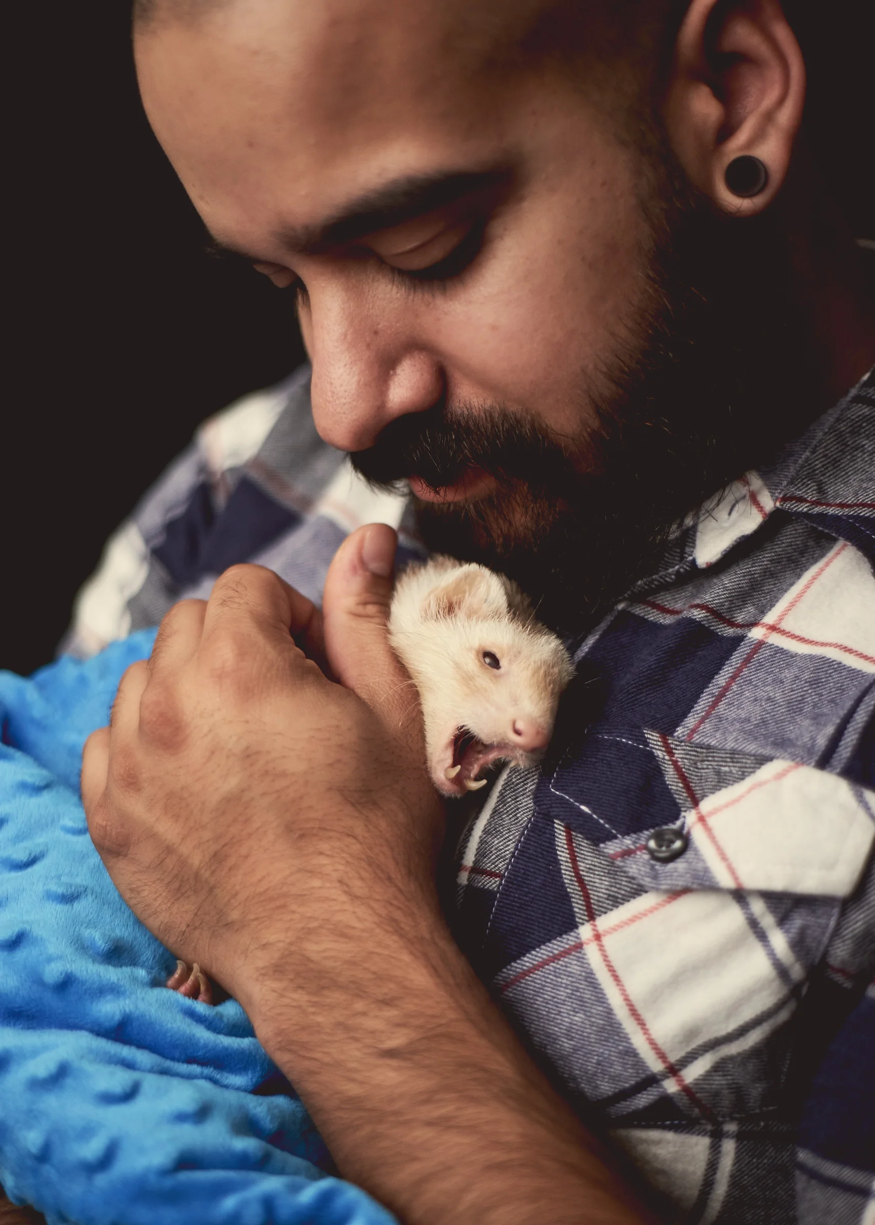 Ferret 2.jpg