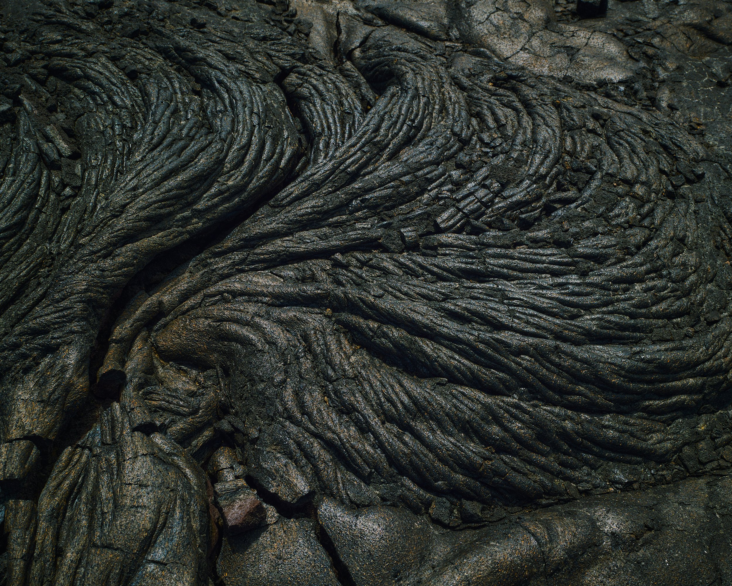 Close-up of cooled, wrinkled volcanic lava with dark, glossy surface