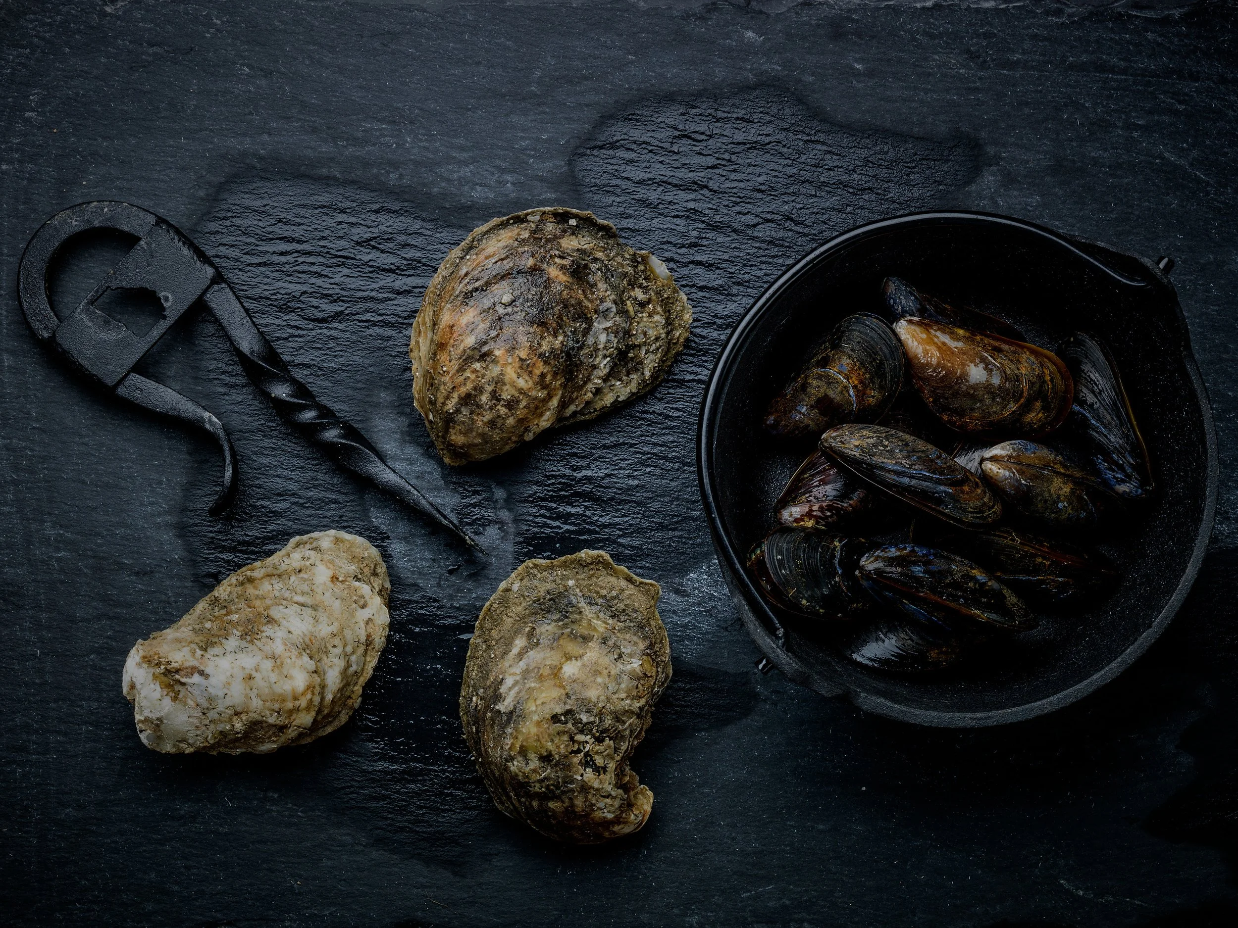 A black slate surface with three oysters and a bowl of mussels, a small oyster opener tool