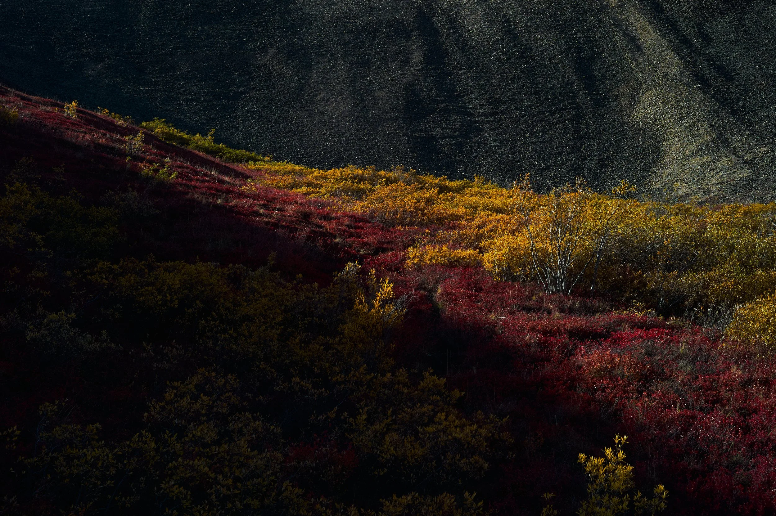 Glacier_ 7.jpg