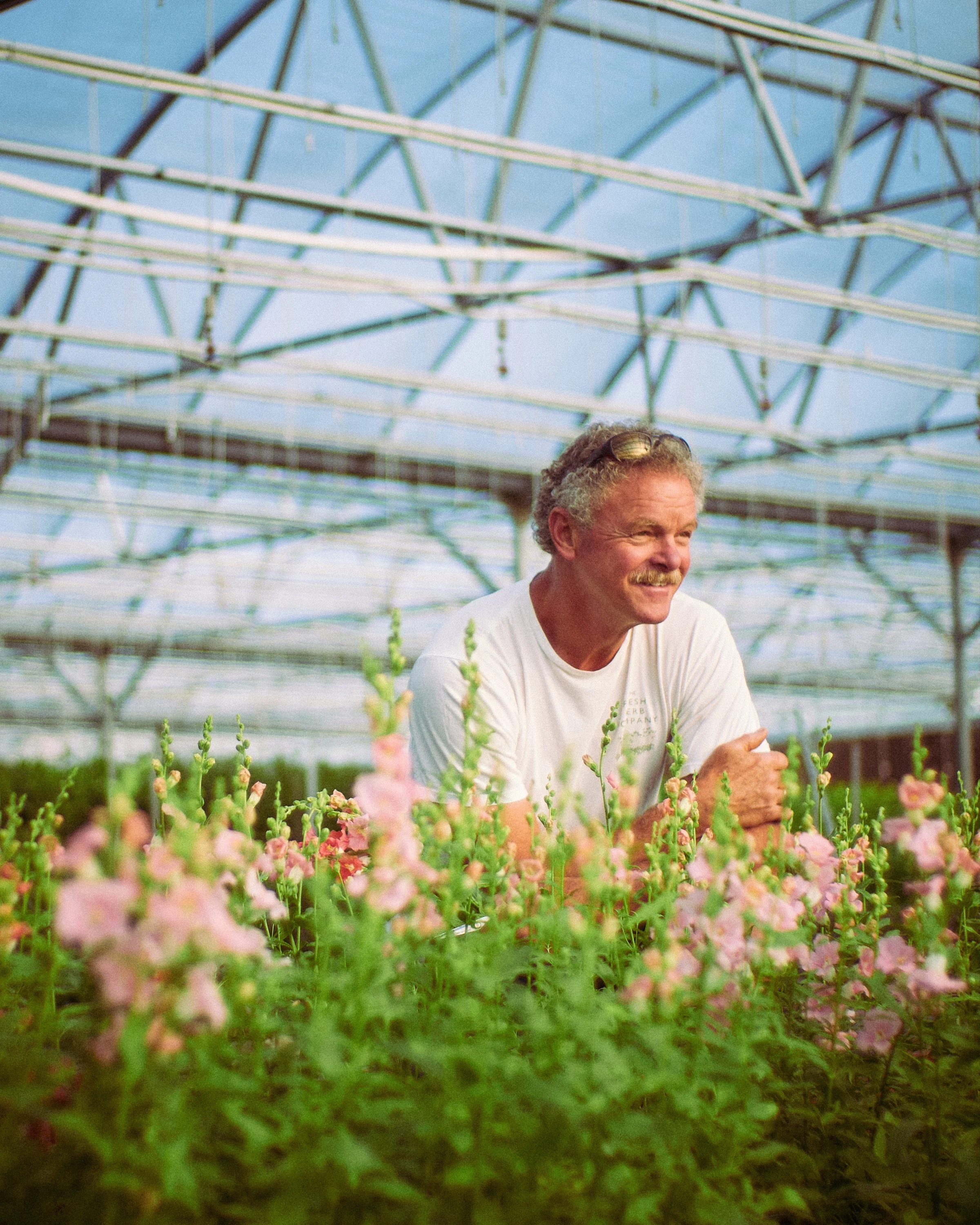 A man smiling while leaning on a table of pink flowers inside a greenhouse with metal framing and a blue sky overhead.