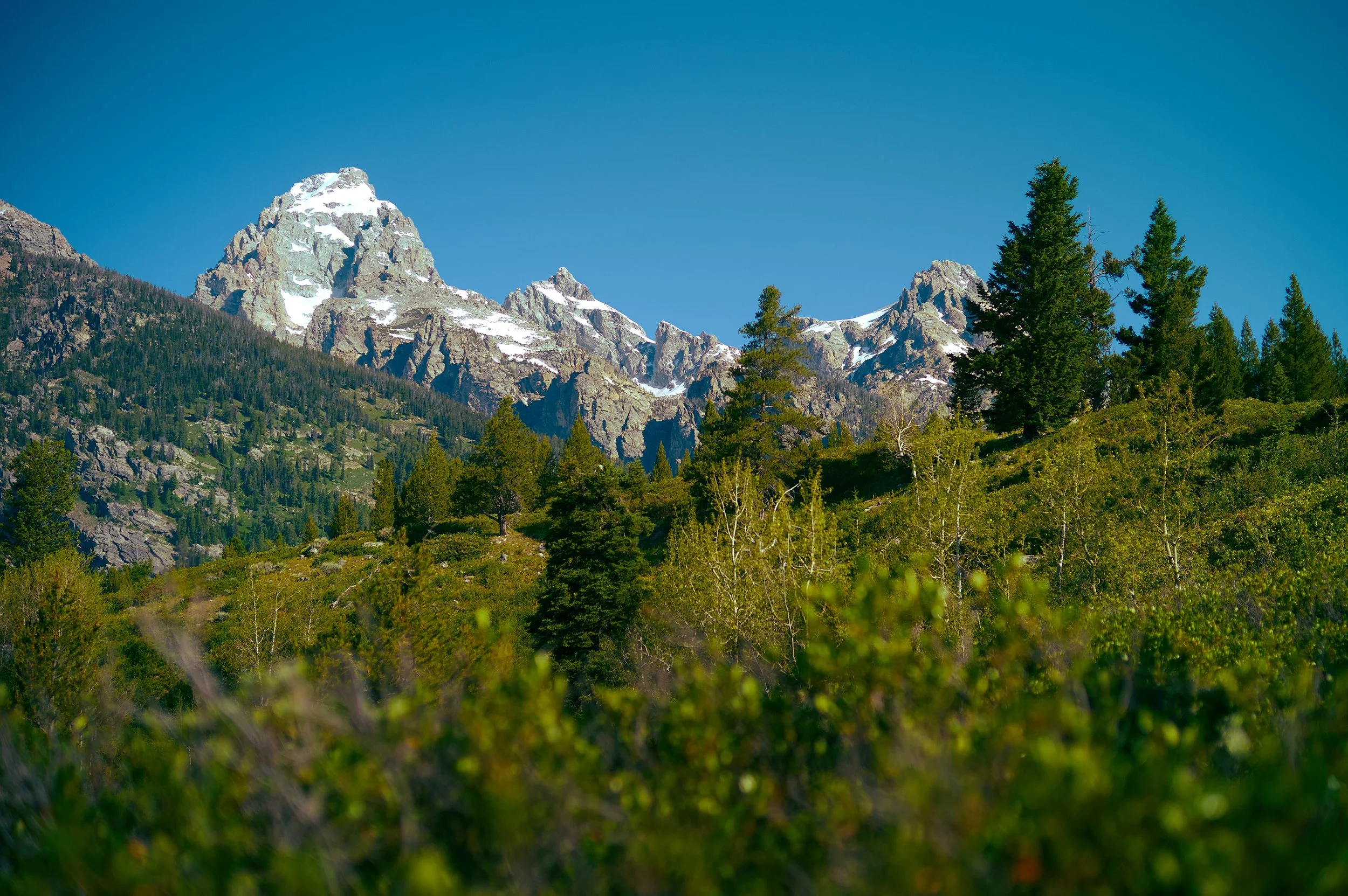 June_2026_8.jpg