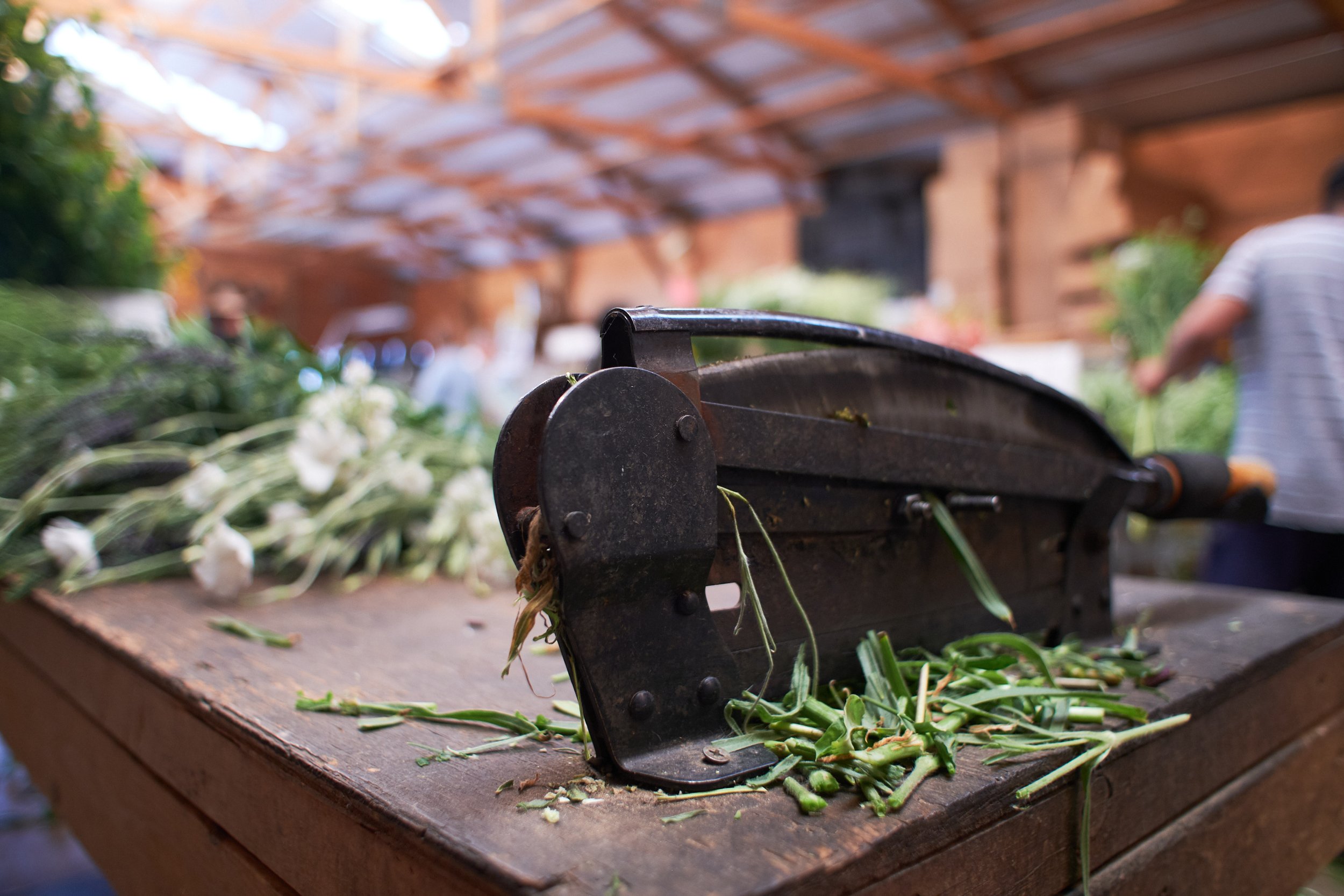 A vintage manual flower cutter or press on a wooden table, with freshly cut green stems and white flowers nearby, in a greenhouse or flower shop.