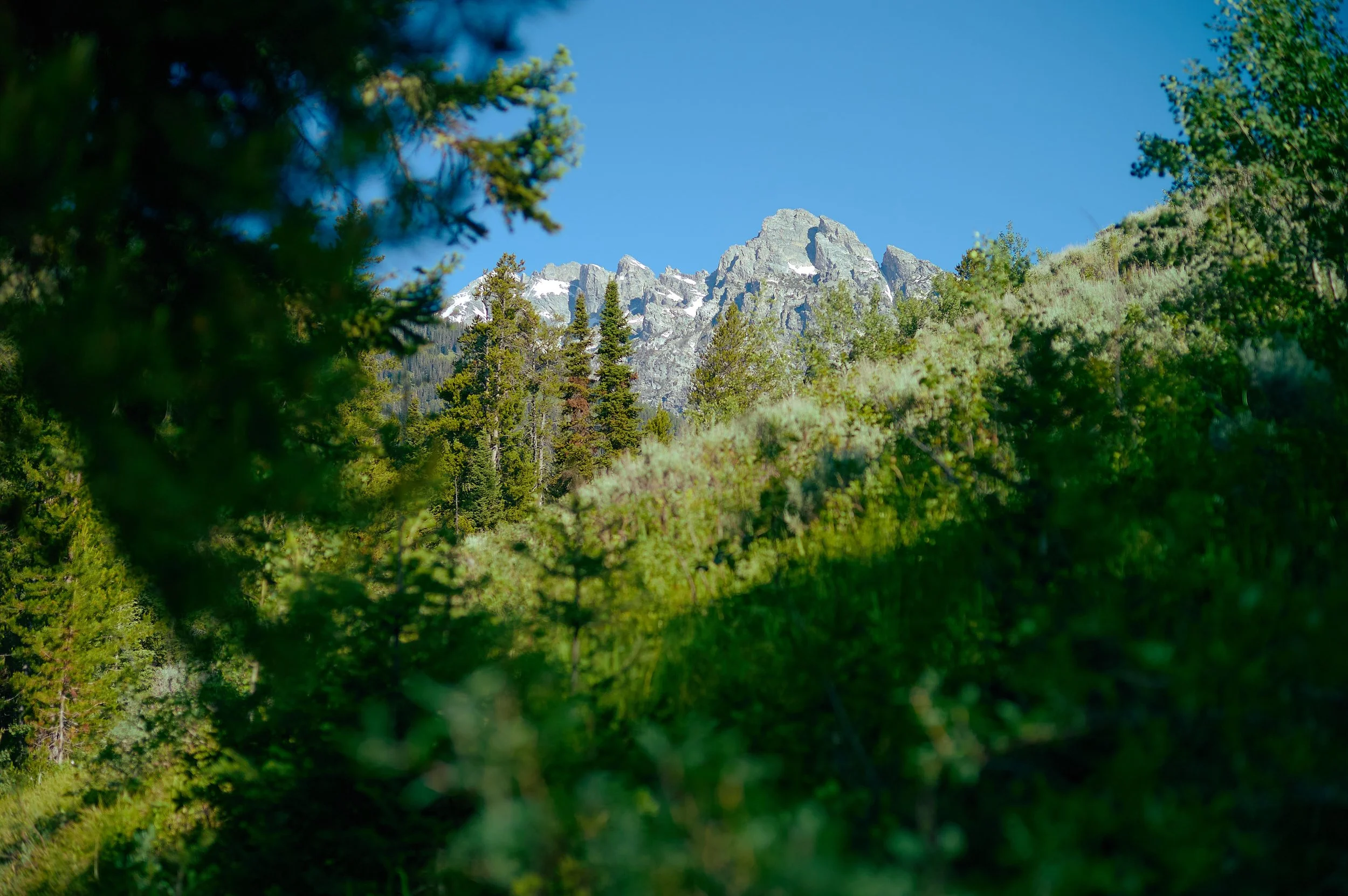 June_2026_9.jpg