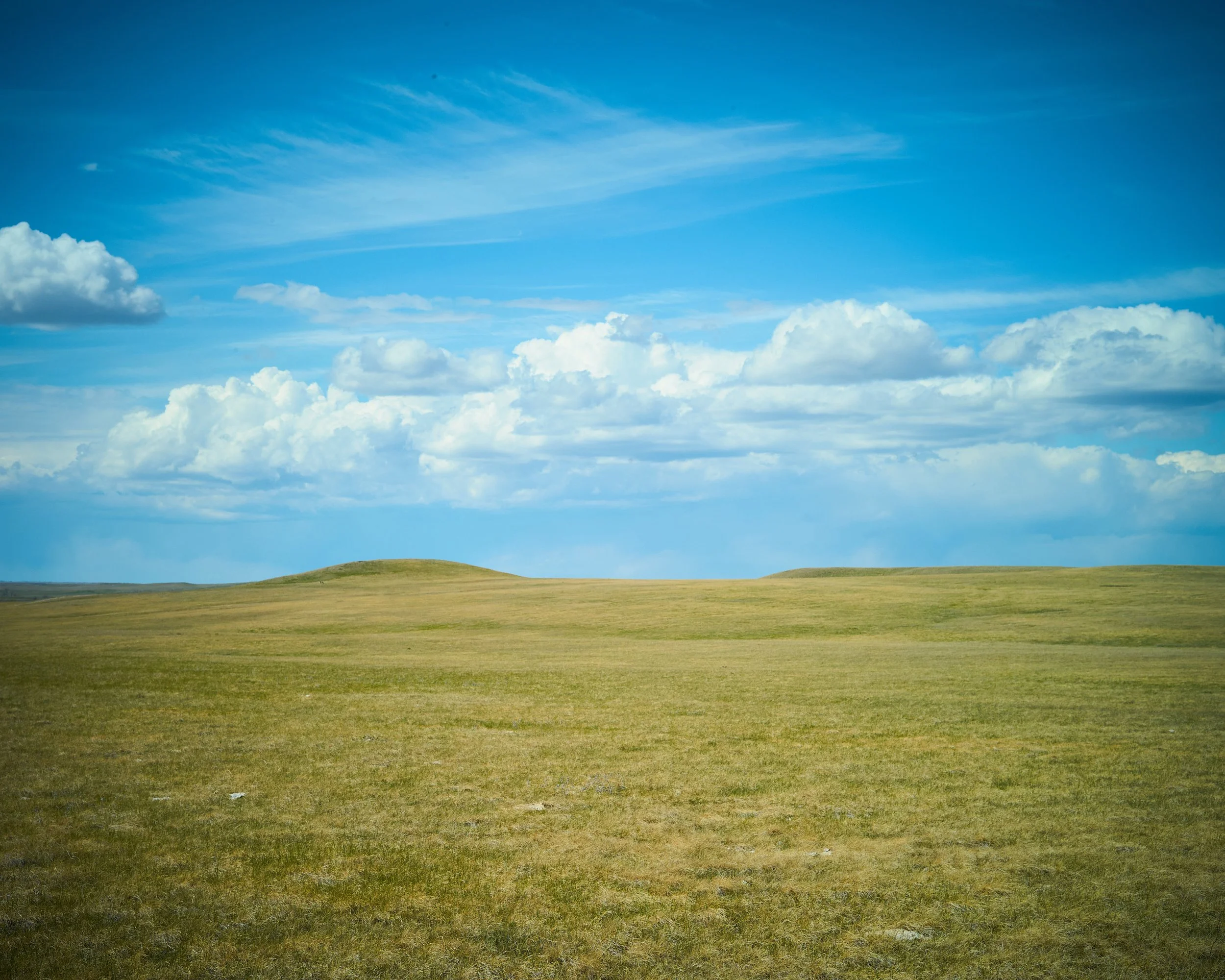 April_2026_14.jpg