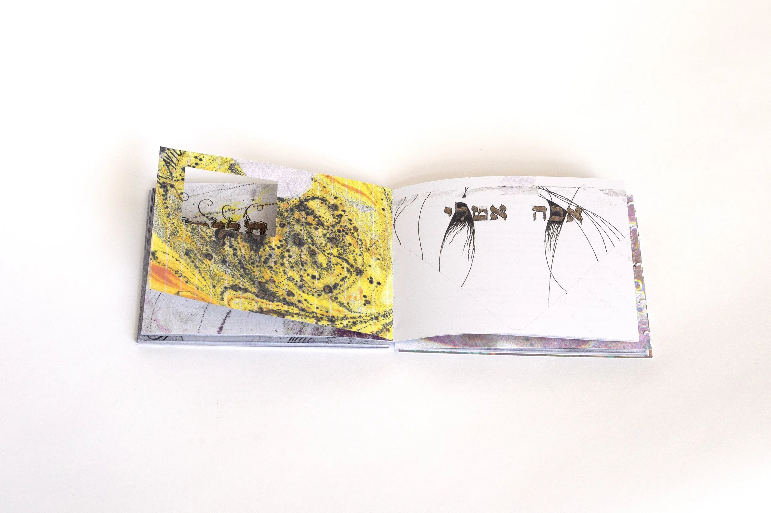 04122026_Katz_Book_Josh Jensen_11.jpg