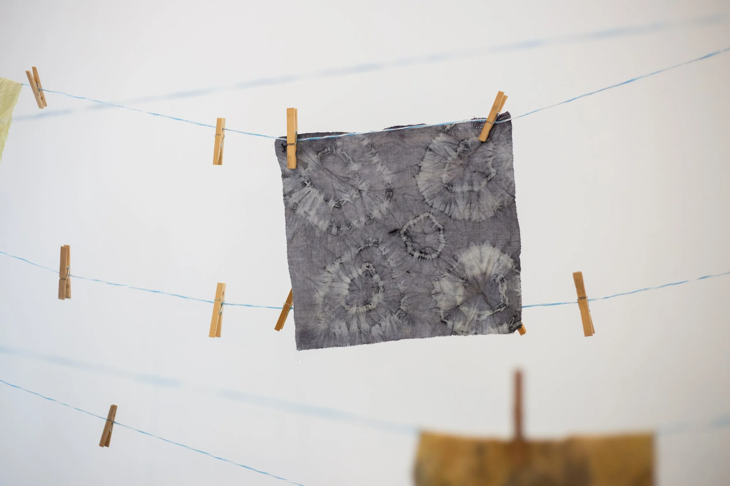 20250724_naturaldyeworkshop_joshjensen_fullsize-04.jpg