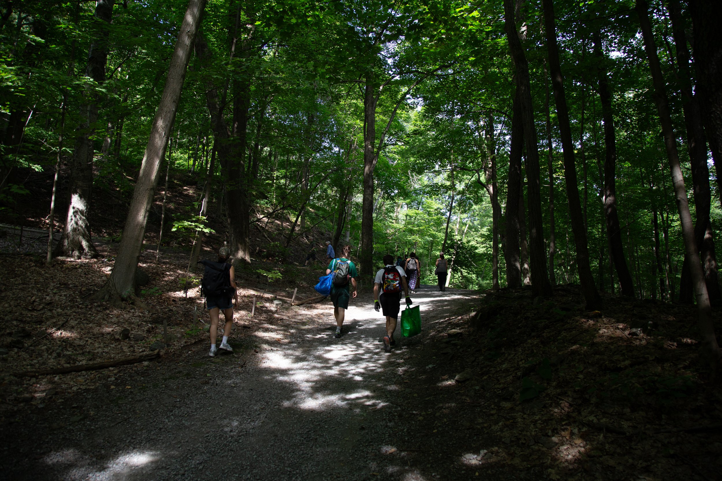 20250724_naturaldyeworkshop_joshjensen_fullsize-60.jpg