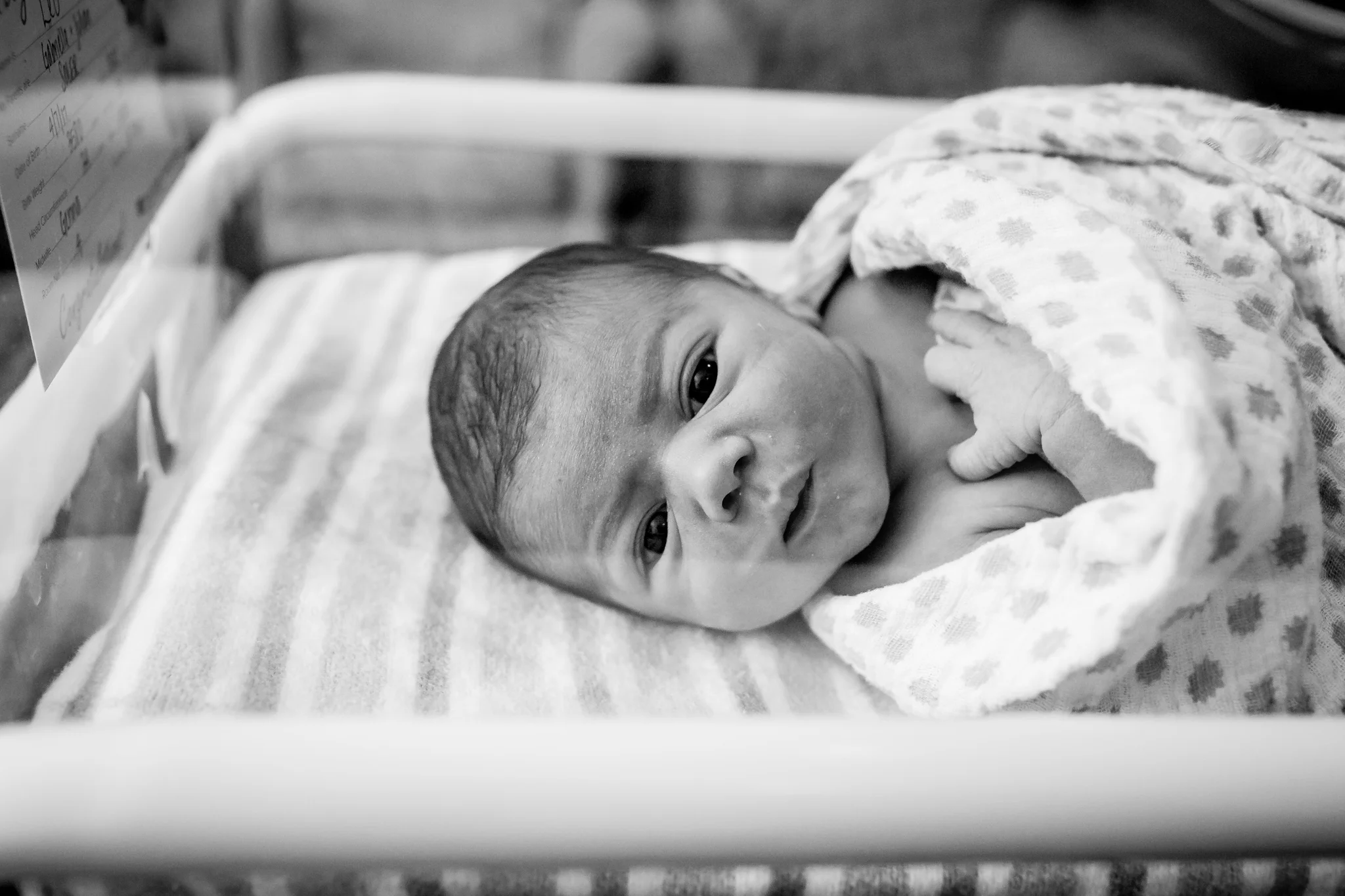 Selena Rollason-Brisbane Birth Photography-0184.jpg
