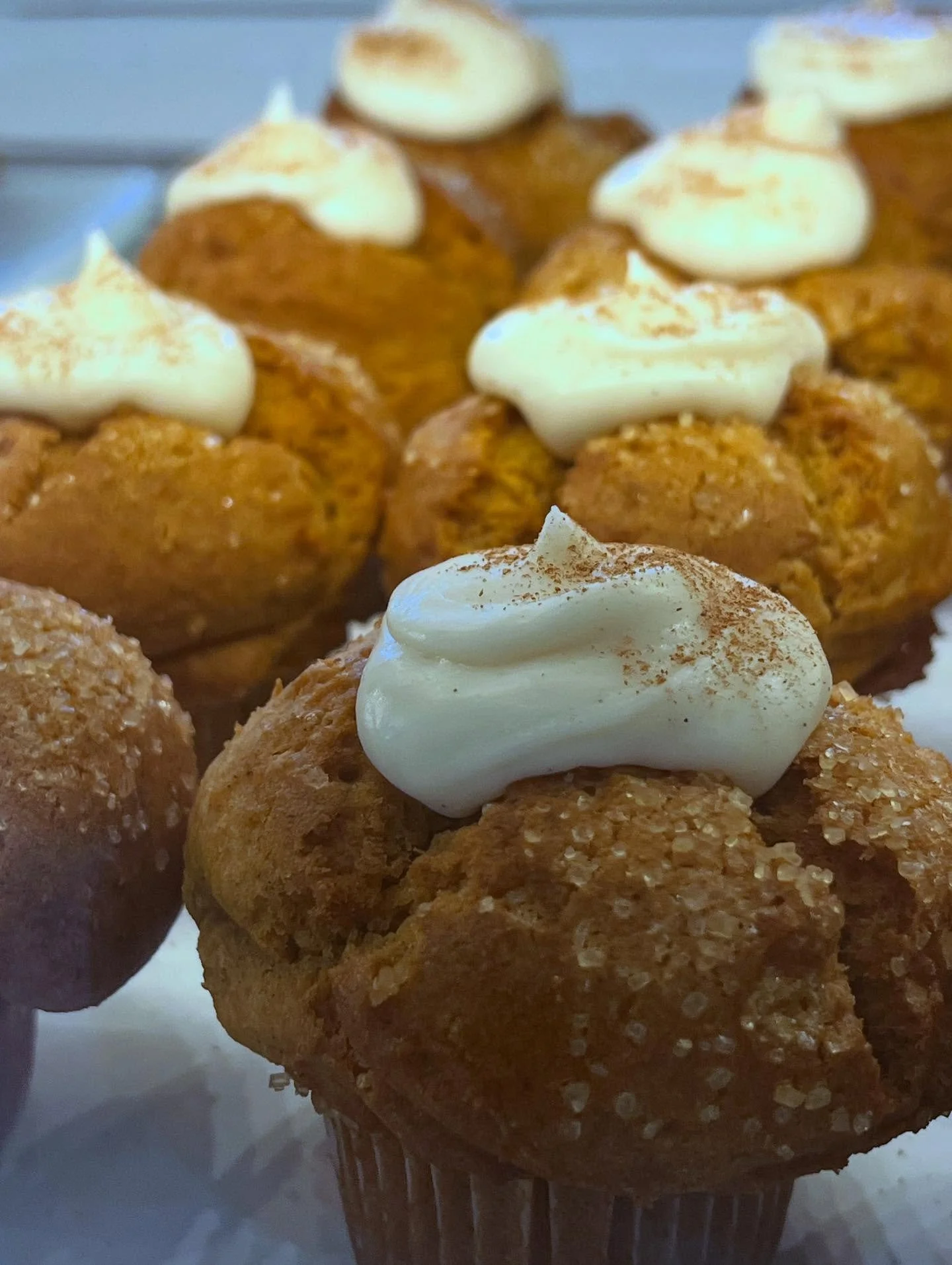 Pumpkin Muffins π - Gluten Free & Vegan. In the case through November! π Pairs beautifully with a Pumpkin Pie Latte! Made with organic pumpkin puree and organic pumpkin spice syrup!