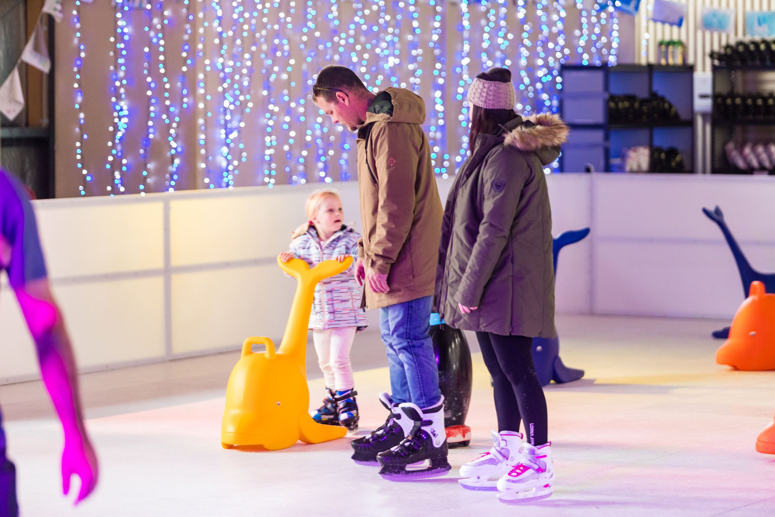 Gallery 1 — Snowflakes in Stanthorpe