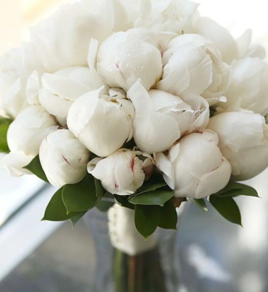 one of my 4 favorites, Peonies, any color...