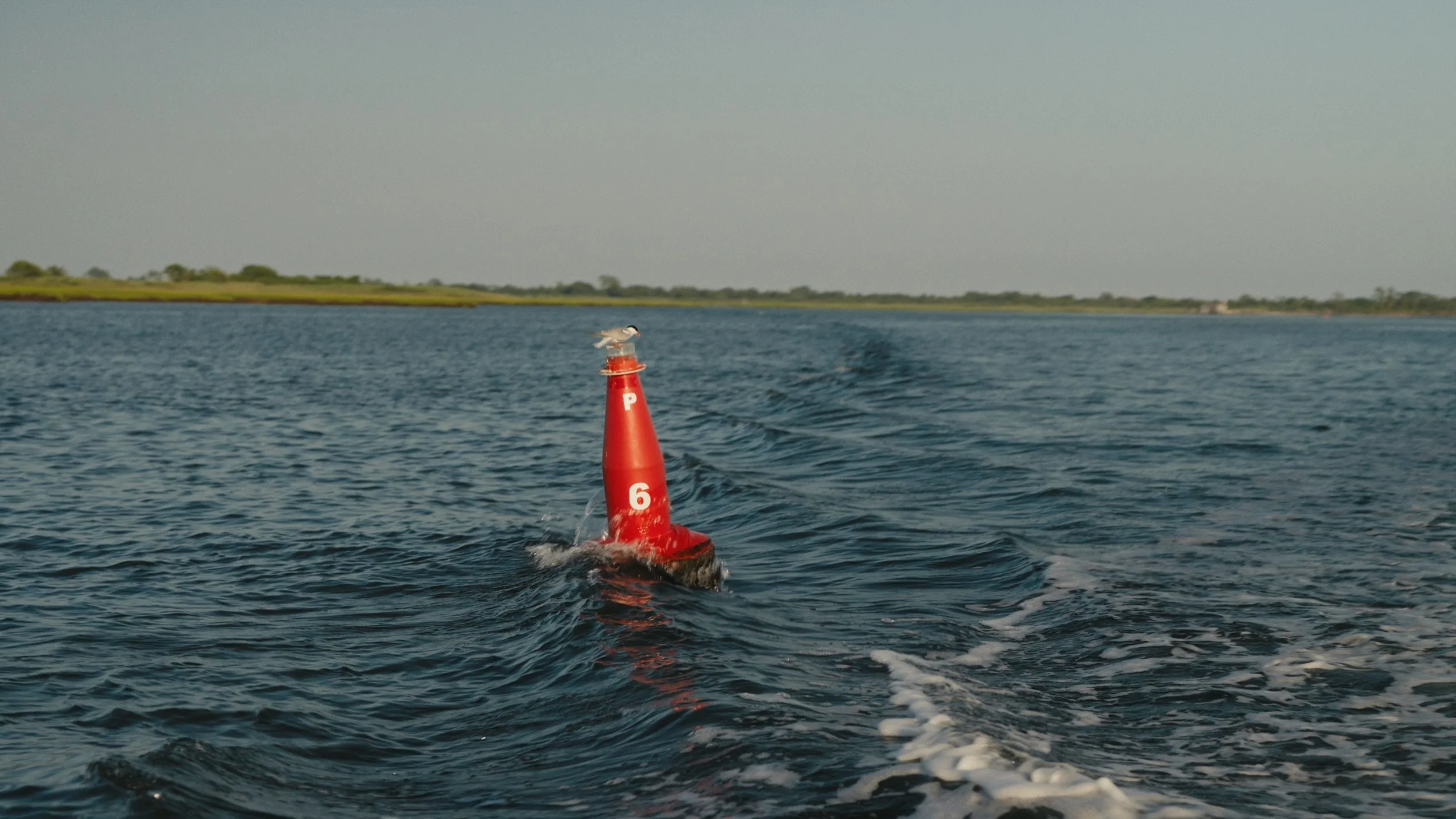 TNC NYSERDA Project_Still_11.jpg