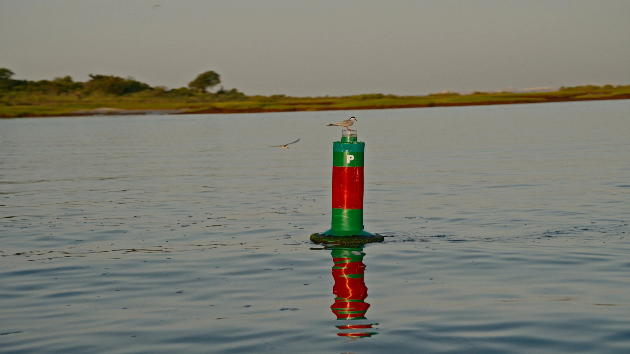TNC NYSERDA Project_Still_26.jpg
