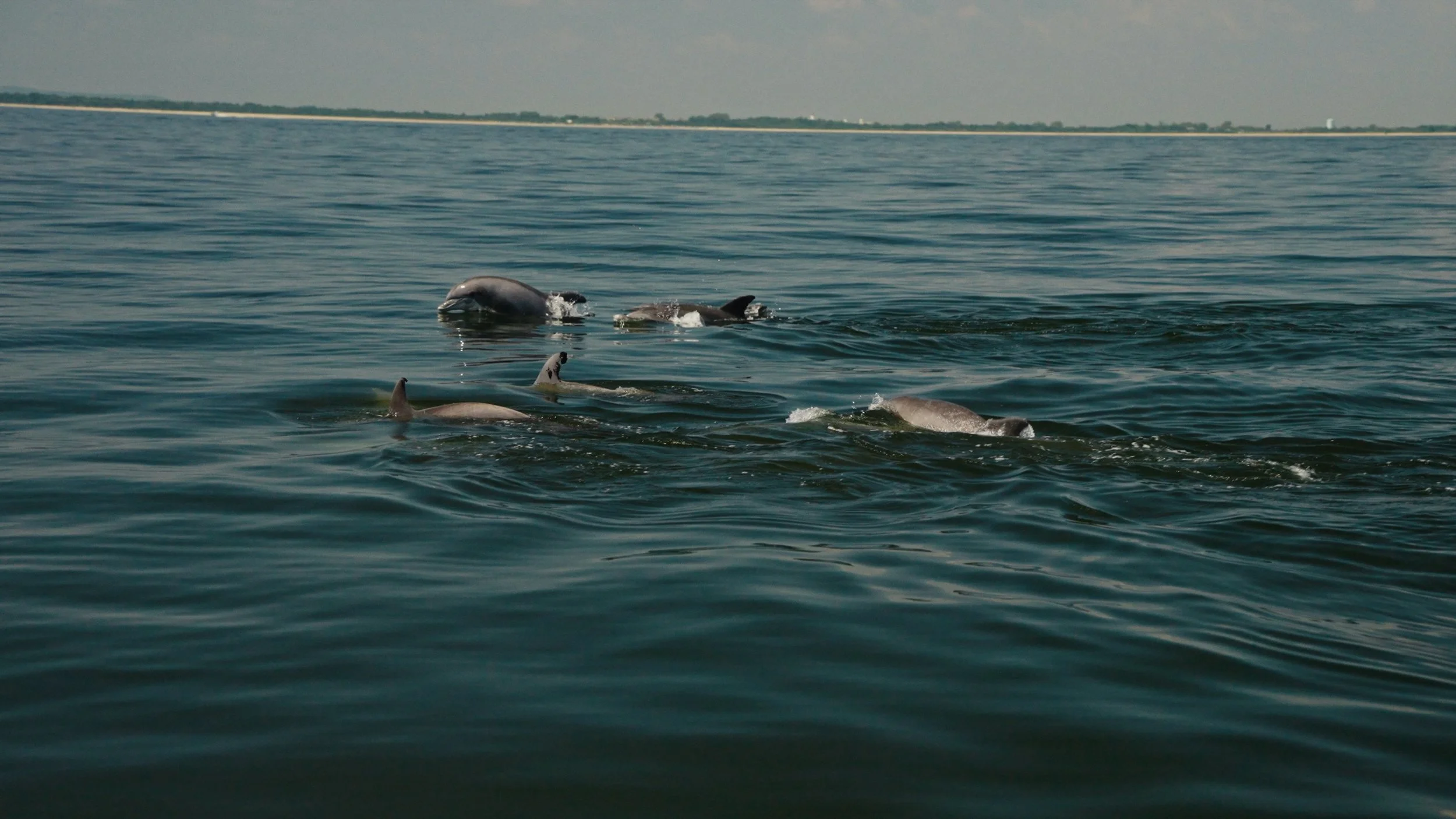 TNC NYSERDA Project_Still_25.jpg