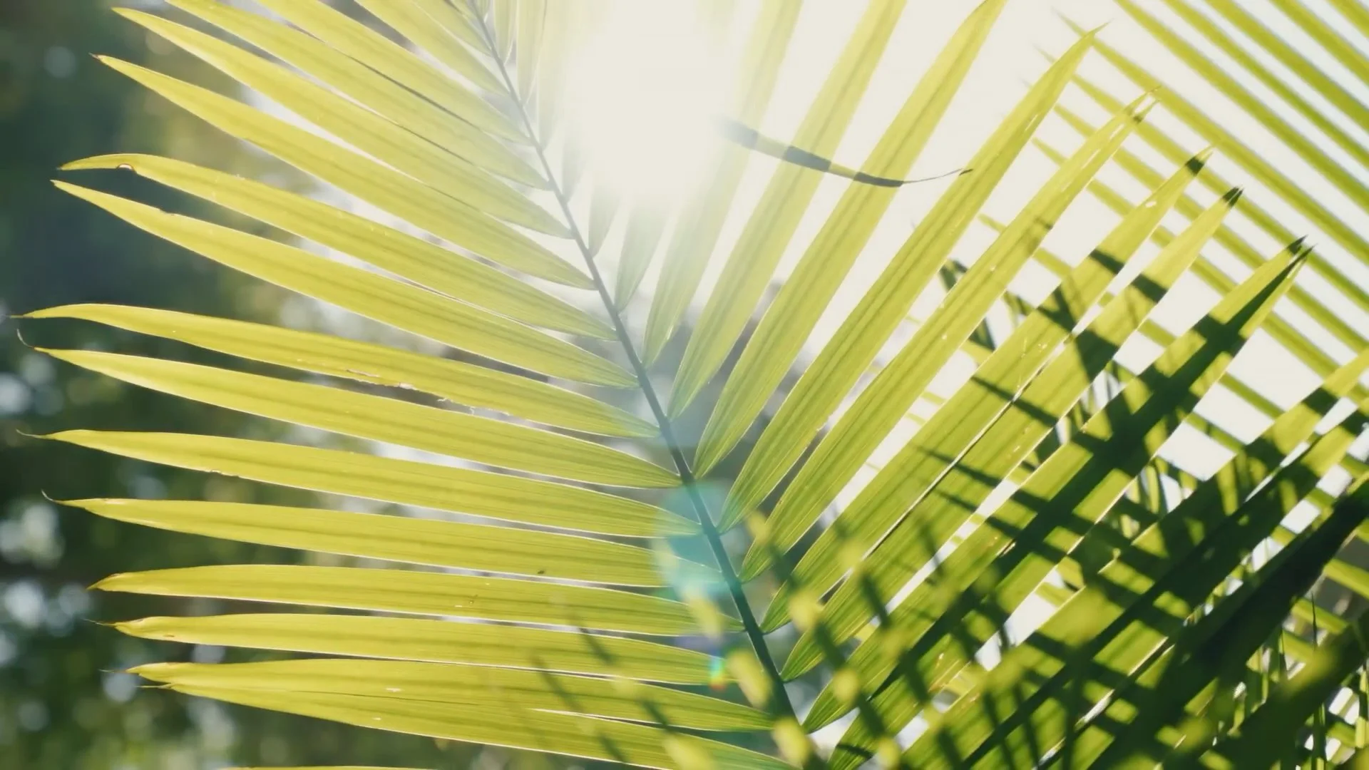 Heidi Gardner_Architectural Digest_Still Frames_25.jpg