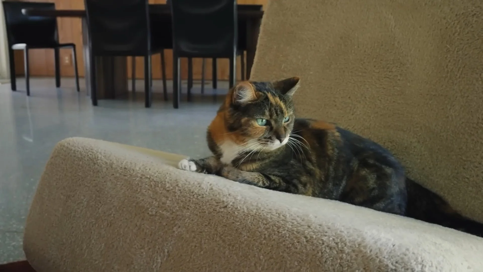 Heidi Gardner_Architectural Digest_Still Frames_42.jpg