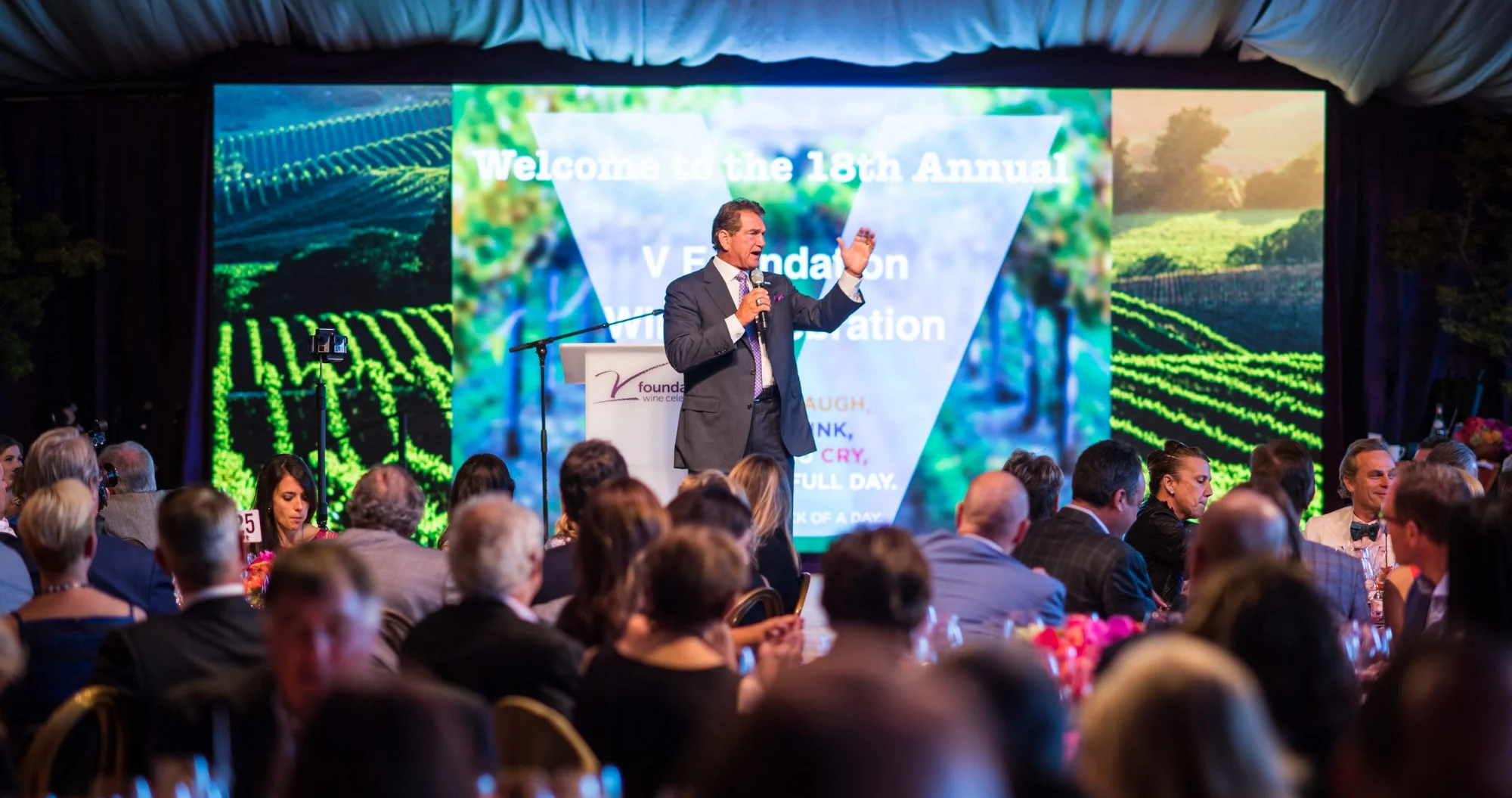 (1) 2016 VFoundation.jpg