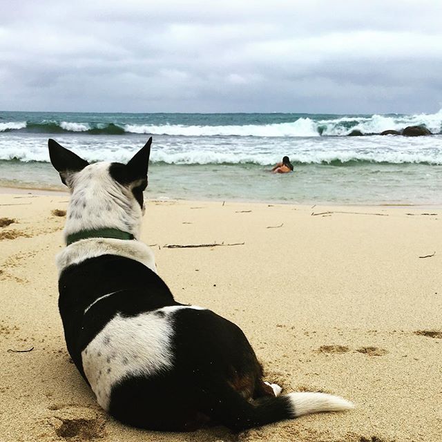 Grey blues to inspire and the beach all to ourselves
