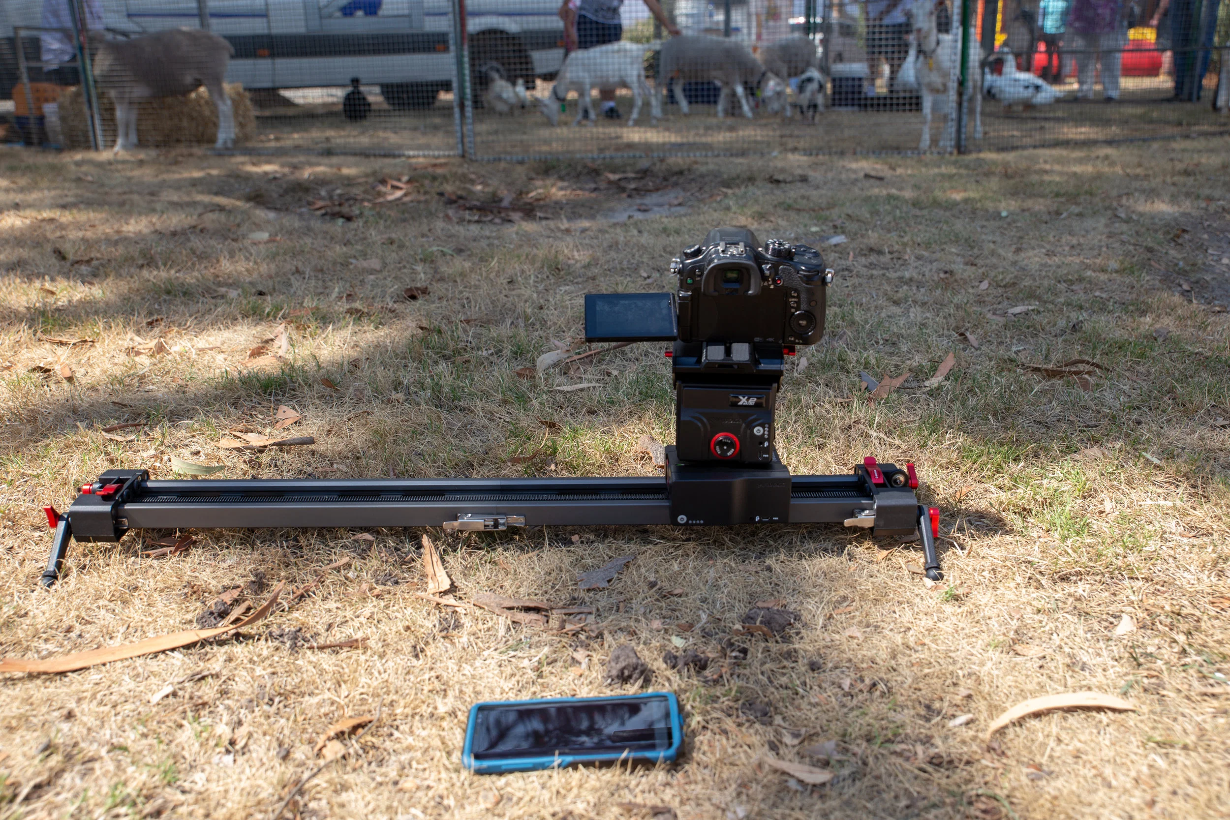 The iFootage Shark Slider mini with motion control module, using the Panasonic GH4 with a 12-35mm F2.8 lens