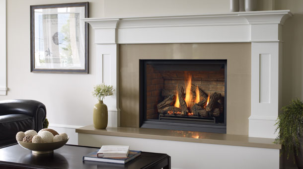 Gas and Wood Fireplace Inserts.