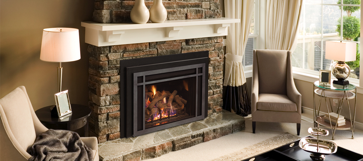 Gas and Wood Fireplace Insert.