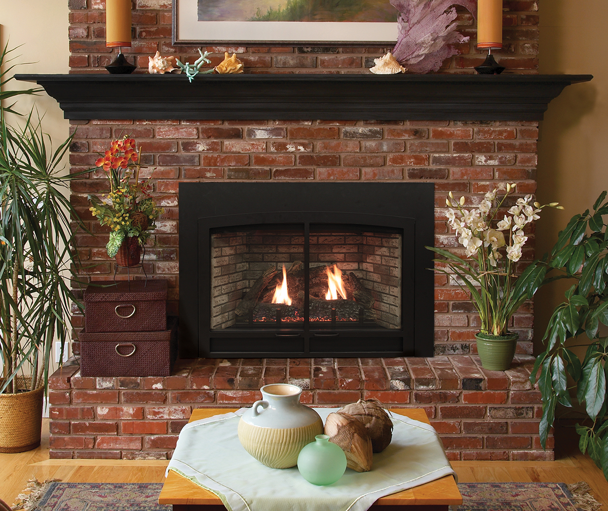 Gas and Wood Fireplace Insert.