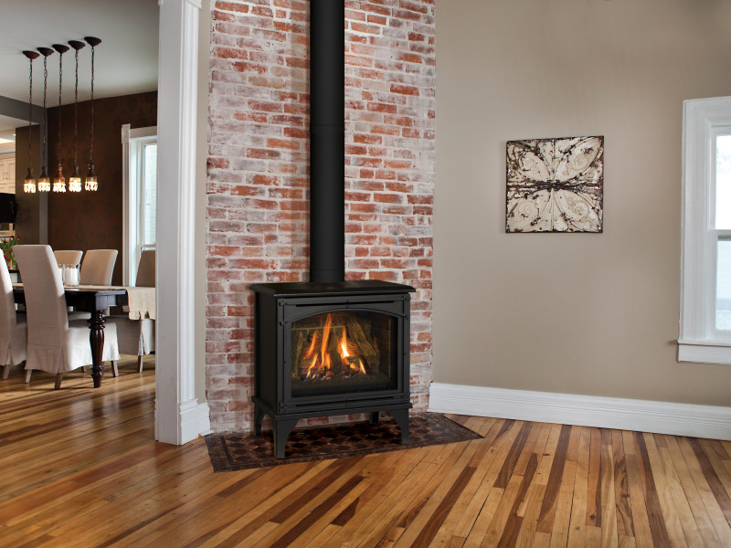 Napoleon-Fireplaces-Seattle-stove.jpg