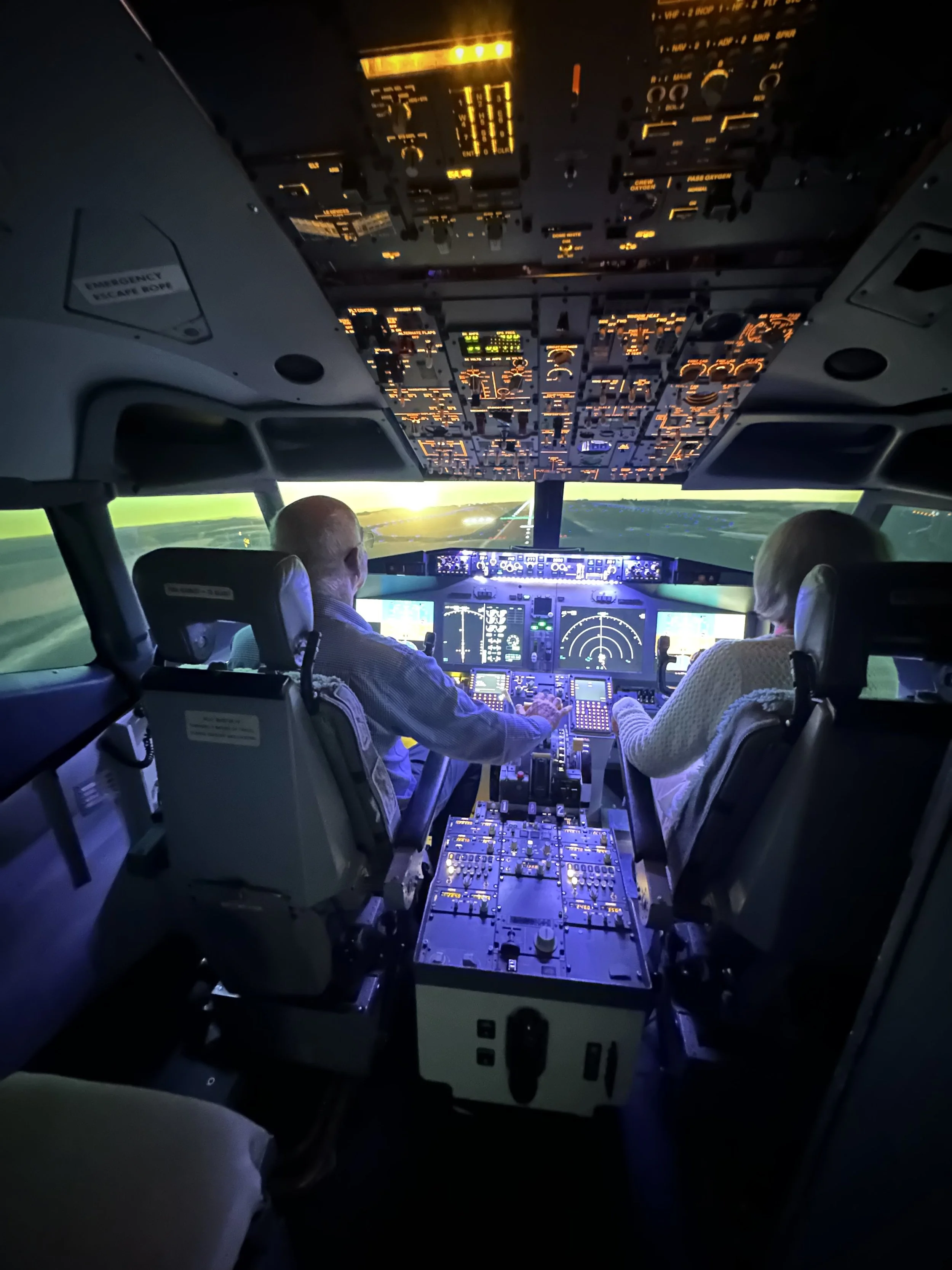 Flight_simulator_UK_Devon_southwest.jpg