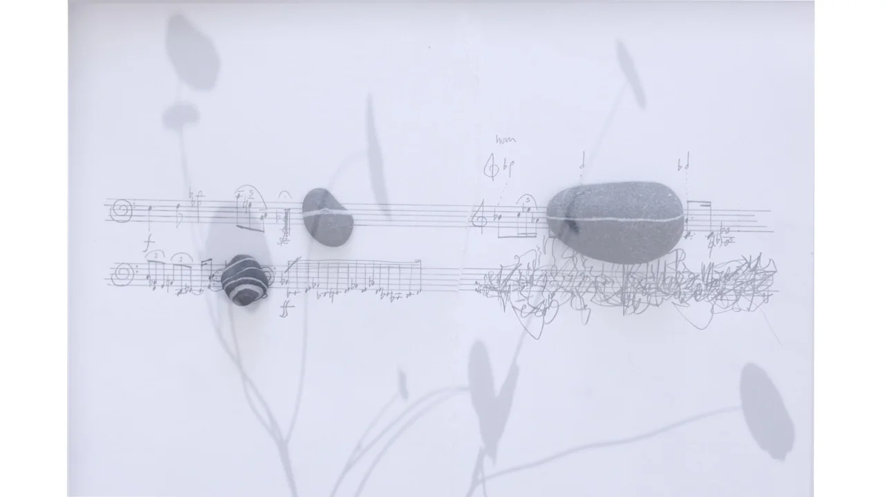 Twinkle still image 2.jpg