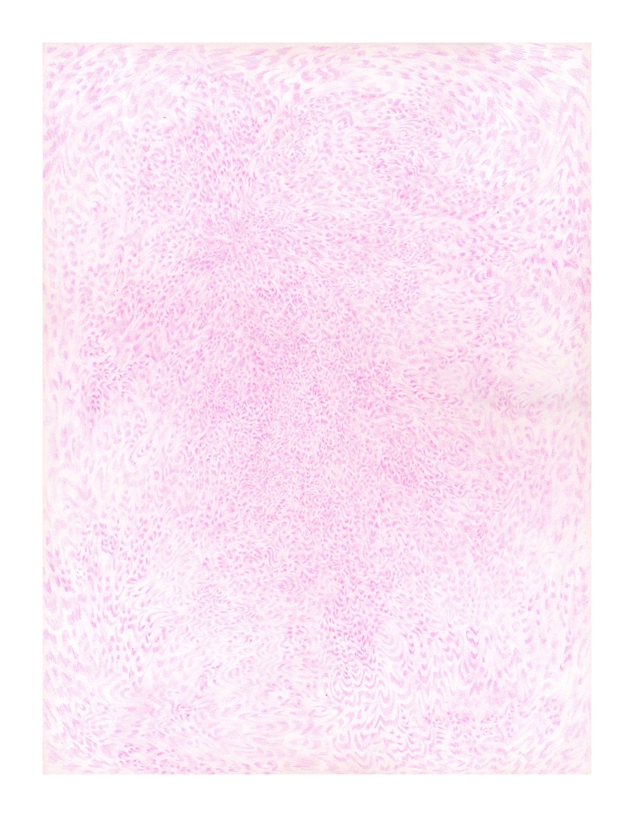 Rosewater Ward (Copy)