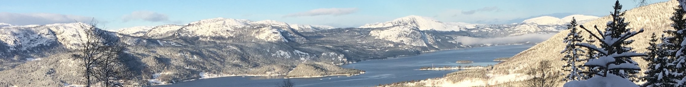 2018-01-07 11.35.56.jpg