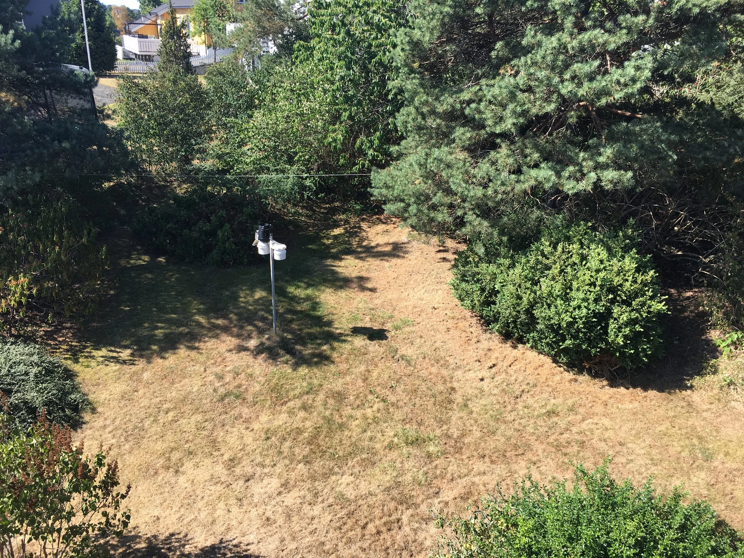 Værstasjonen på Mosseskogen trenger vann! Nedbørsmåleren har kun høstet fugleskit, biller og spindelvev... Gresset under har tatt kvelden inntil videre.